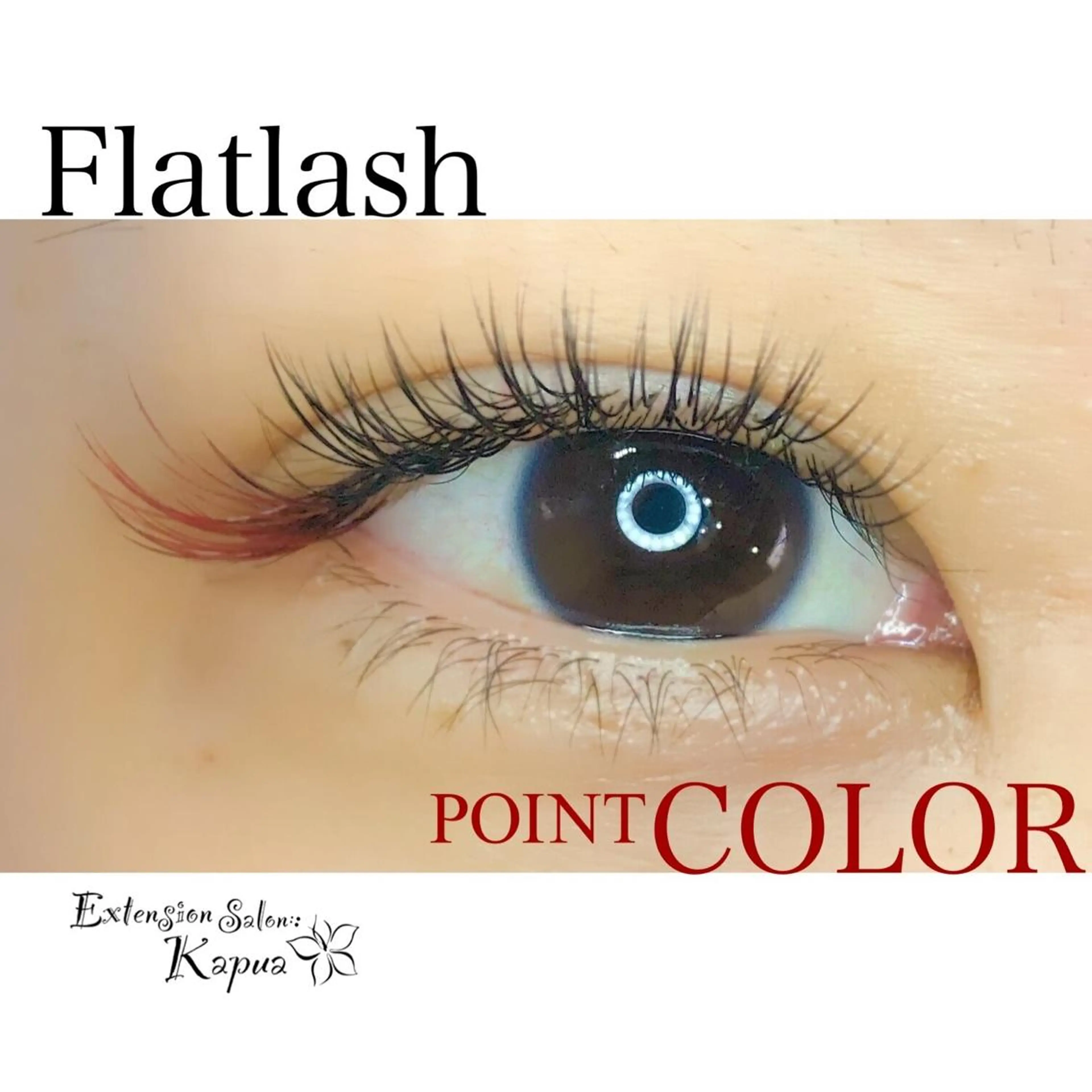 フラットラッシュ100本の写真