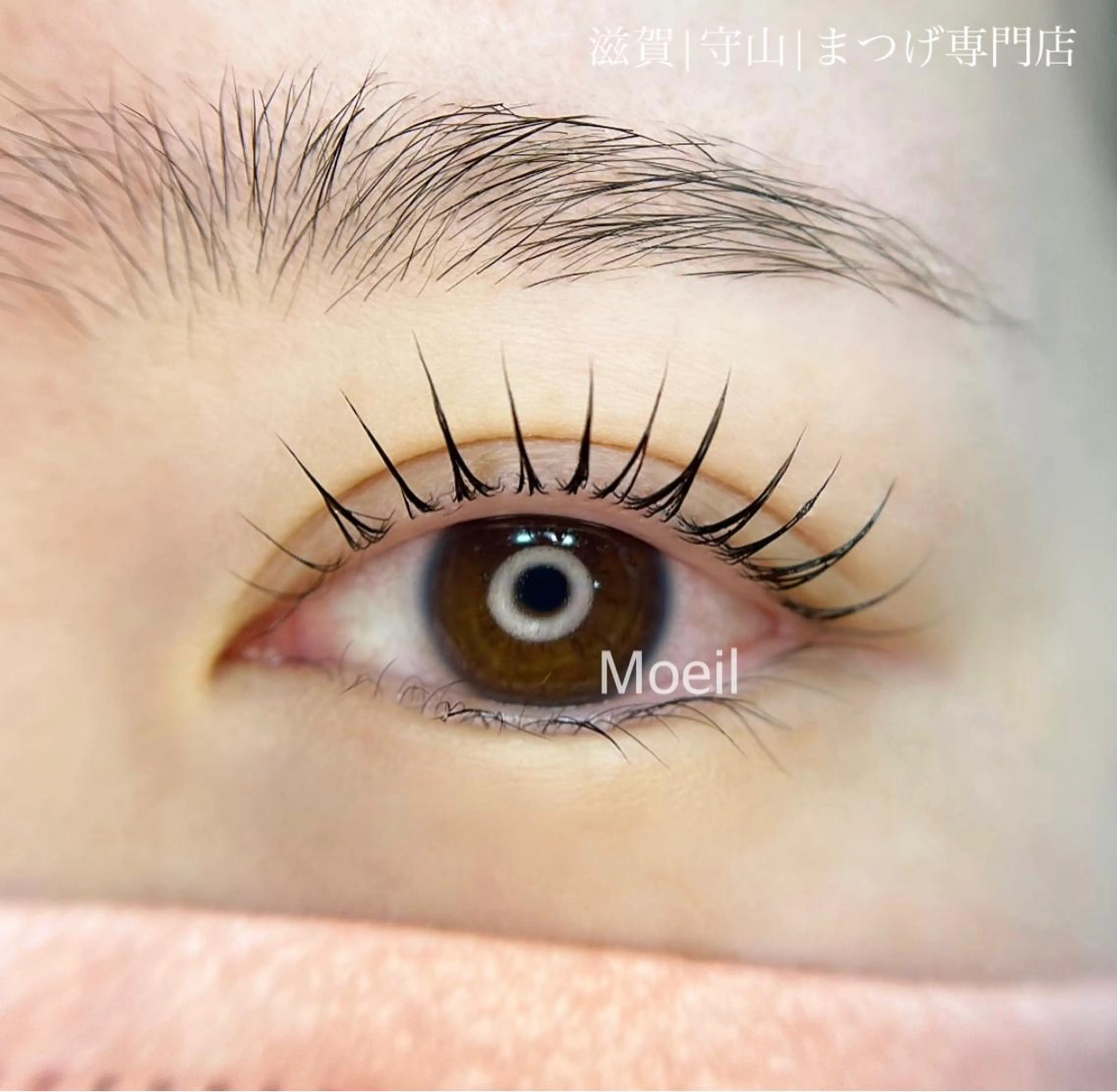 ラッシュリフト/カールの写真