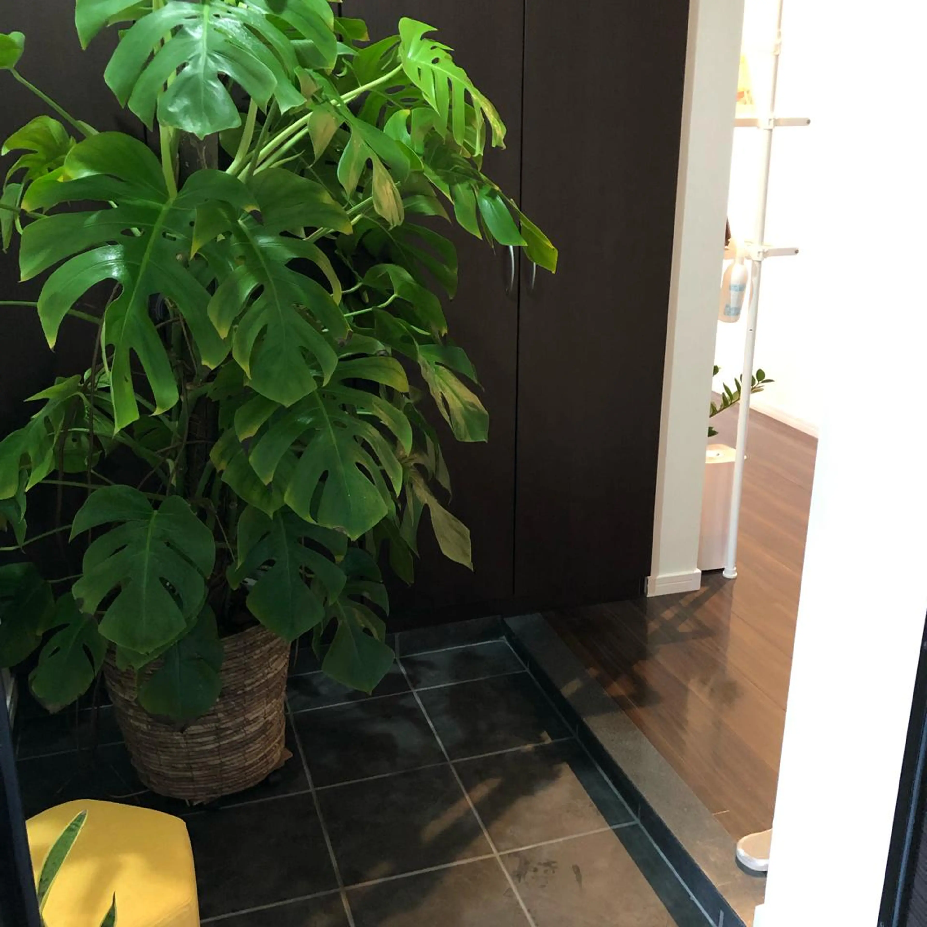 美肌脱毛と癒しのﾌﾟﾗｲﾍﾞｰﾄｻﾛﾝ。gratia~ｸﾞﾚｲﾃｨｱ~所属・gratia ~ｸﾞﾚｲﾃｨｱ~のエステ・リラクイメージ