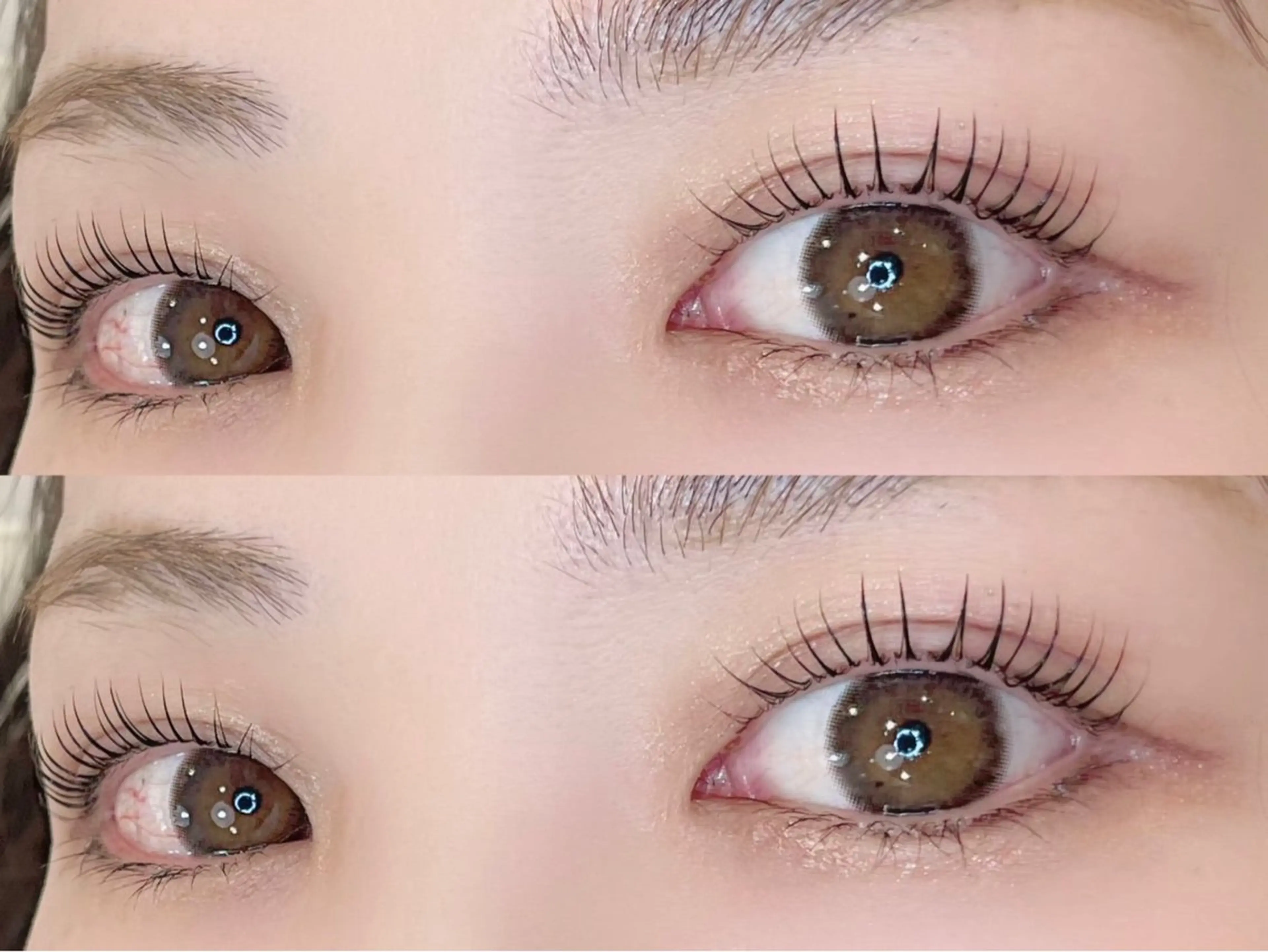 【1/19(月)10:00限定‼️】ナチュラルまつ毛パーマ︎︎の写真