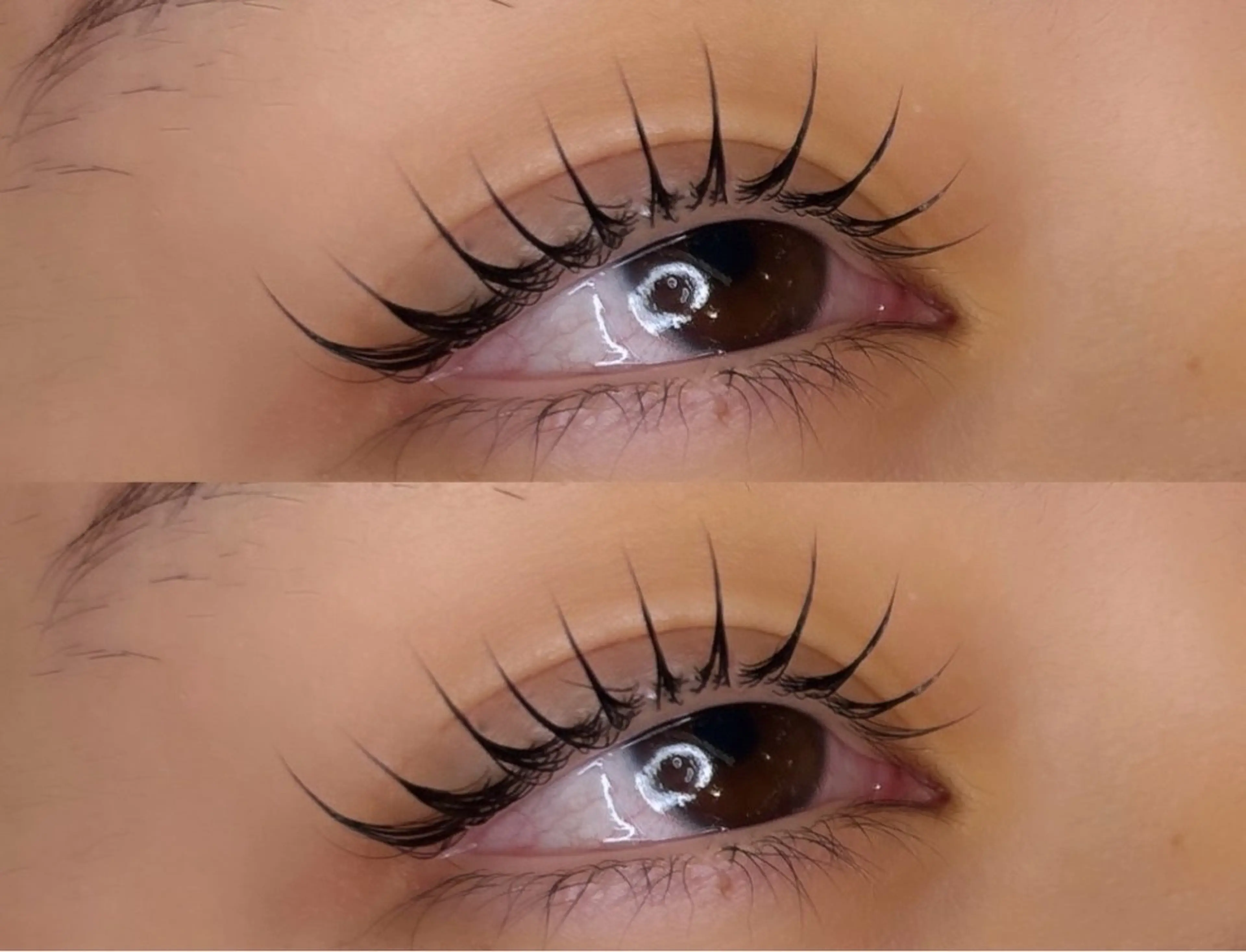 選べるラッシュリフト➕TR➕韓国束感専用コーティング剤 持ち帰りセット♡の写真