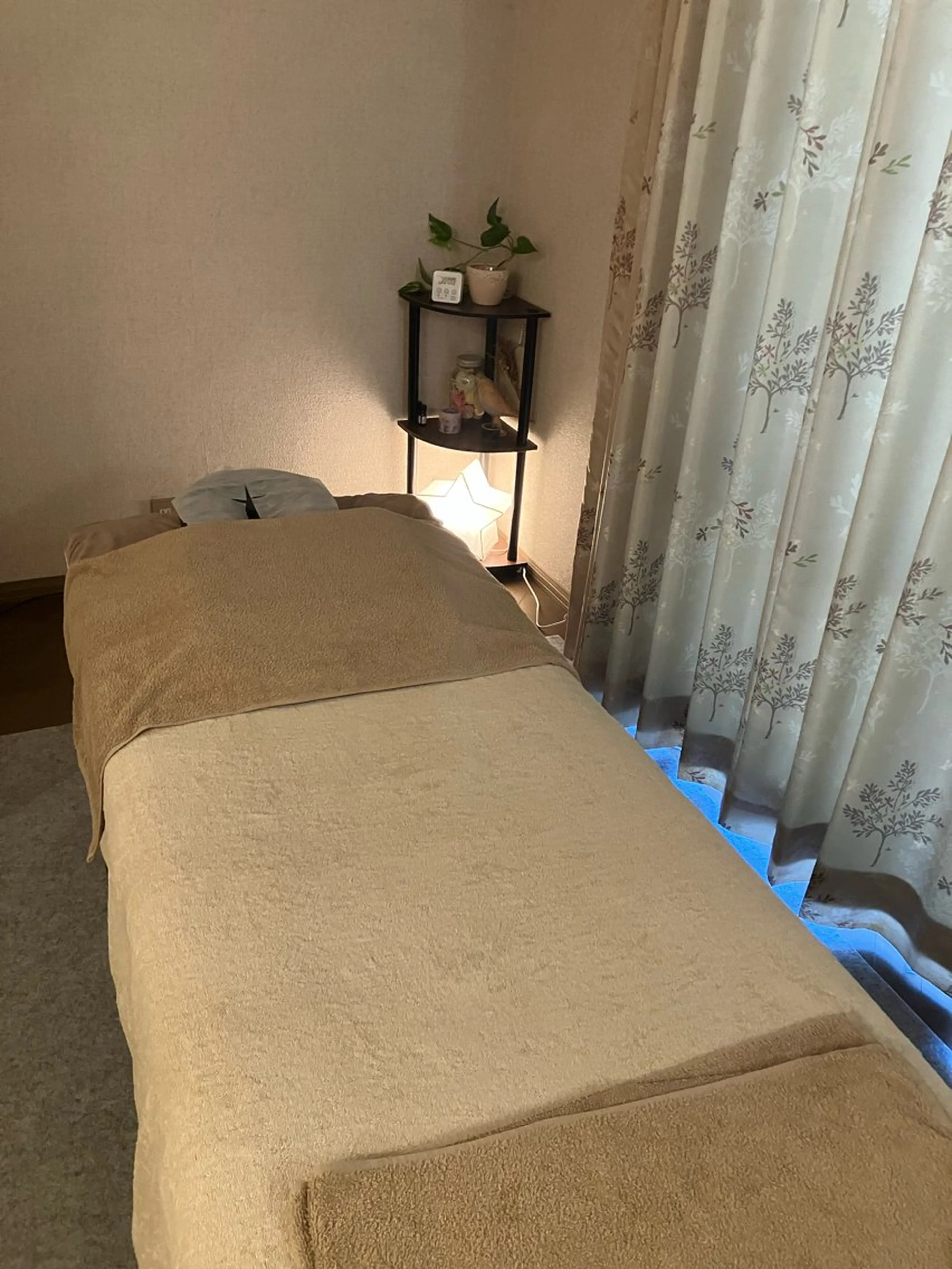 全身整体60分＋耳ツボジュエリー（３個ずつ）の写真