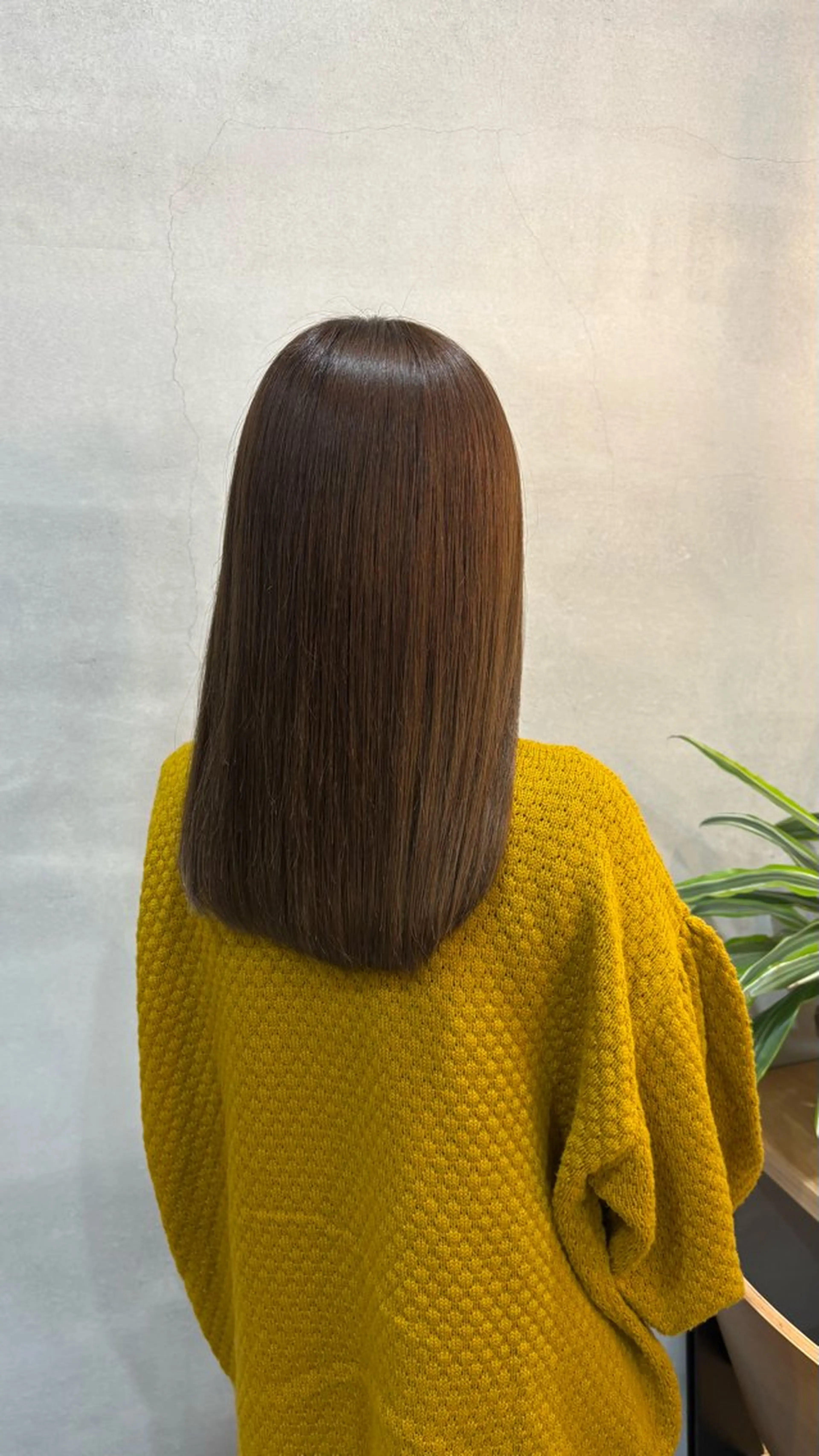 ミディアム カラー カット ヘアカラー トリートメント ルプラボウ  藤原 千紗のヘアスタイル