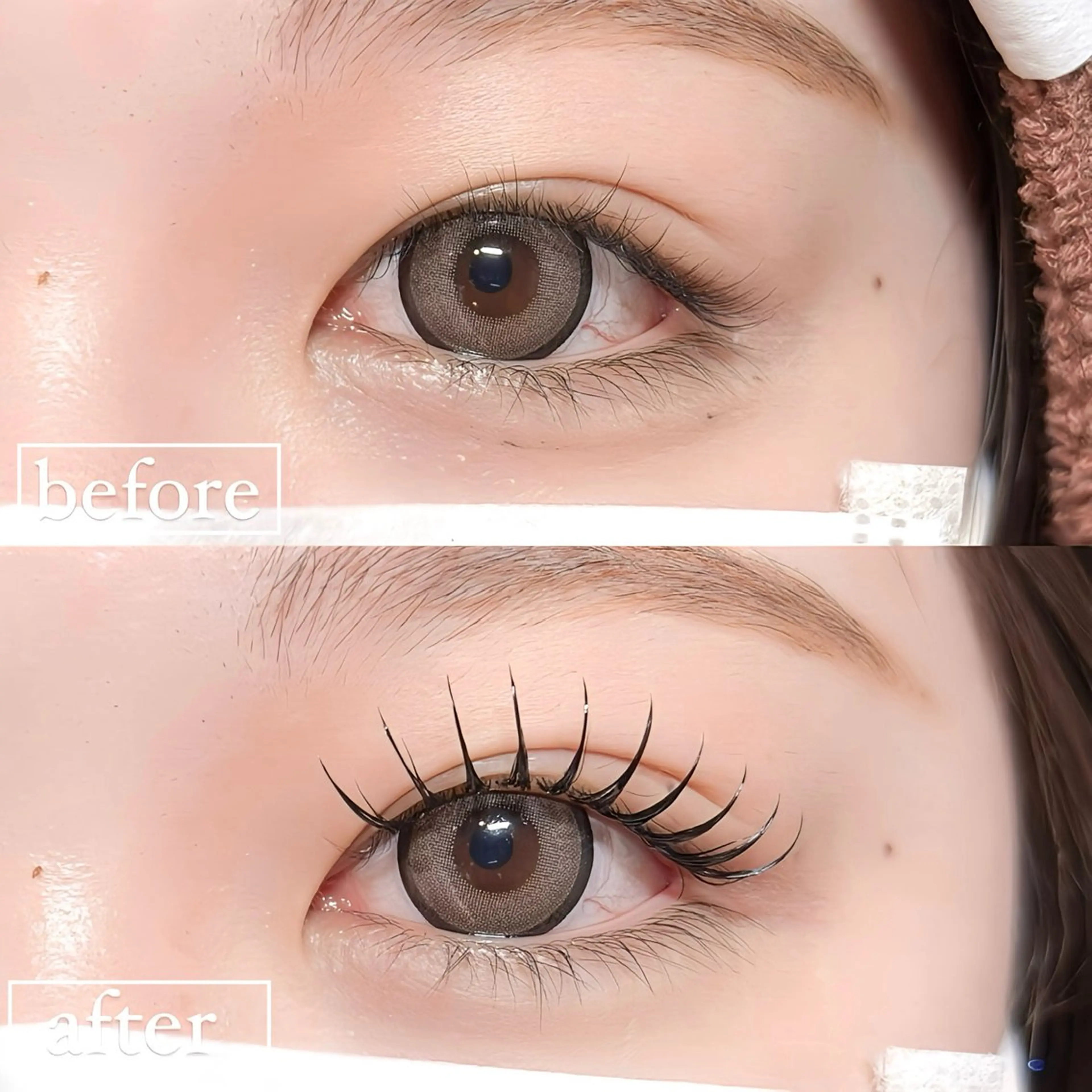 マツエク・マツパ マツエク 🌈-07-🌈 パリエク/マツエクのマツエク・マツパデザイン