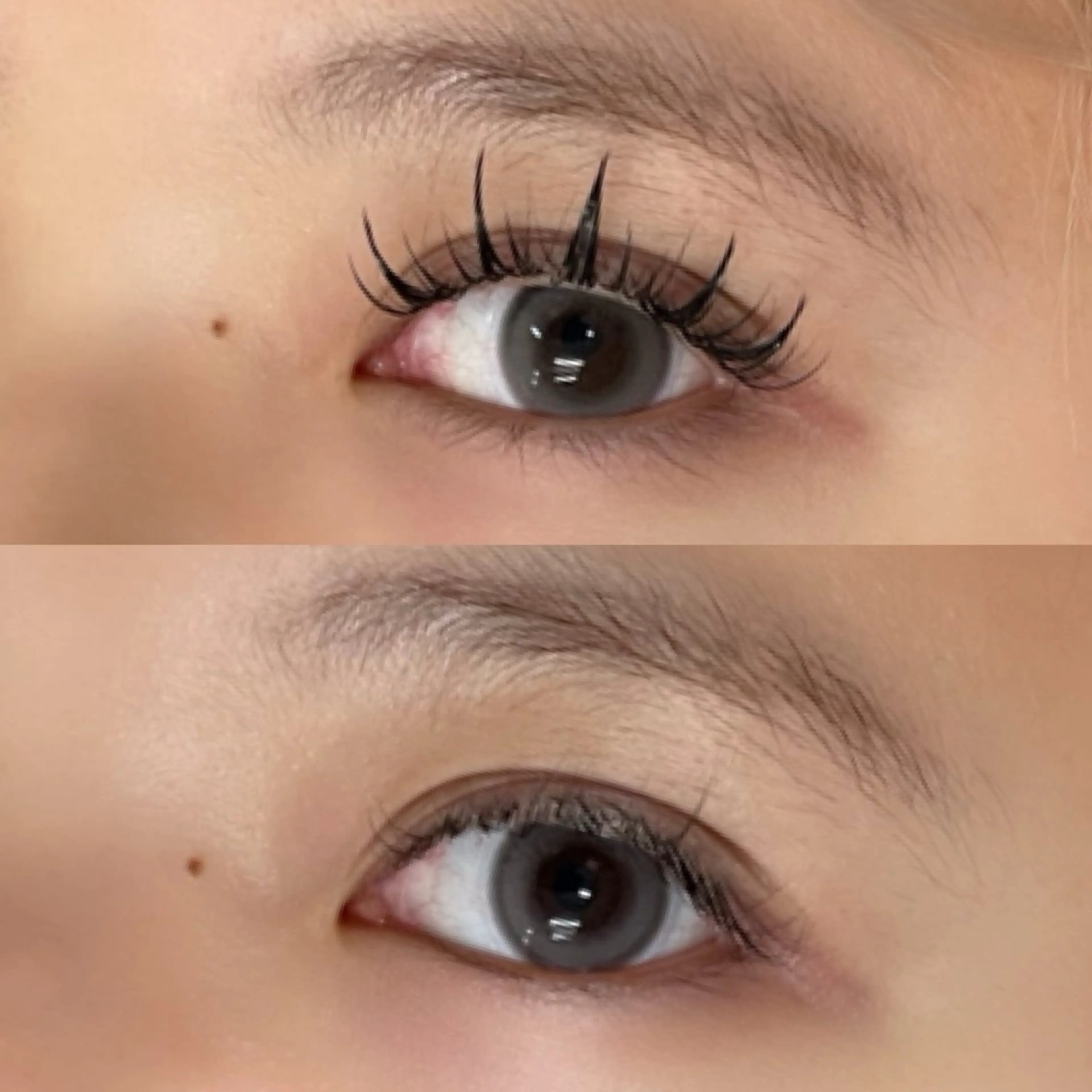 マツエク・マツパ ジュエル.《まつげ》 モデル様募集中のマツエク・マツパデザイン