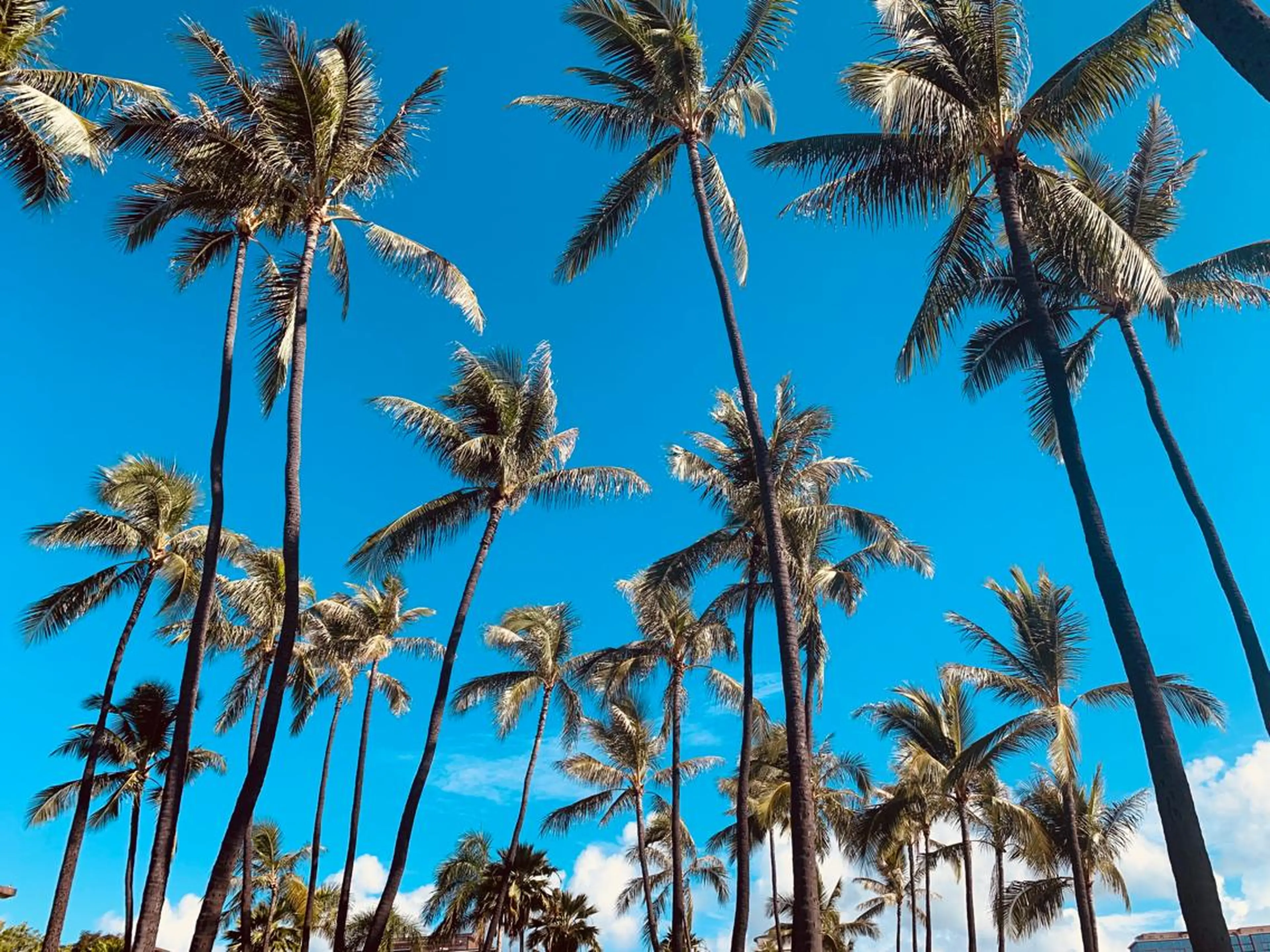 𝐘𝐎𝐒𝐇𝐈 𝐌𝐈🌞🏝のマツエク・マツパデザイン