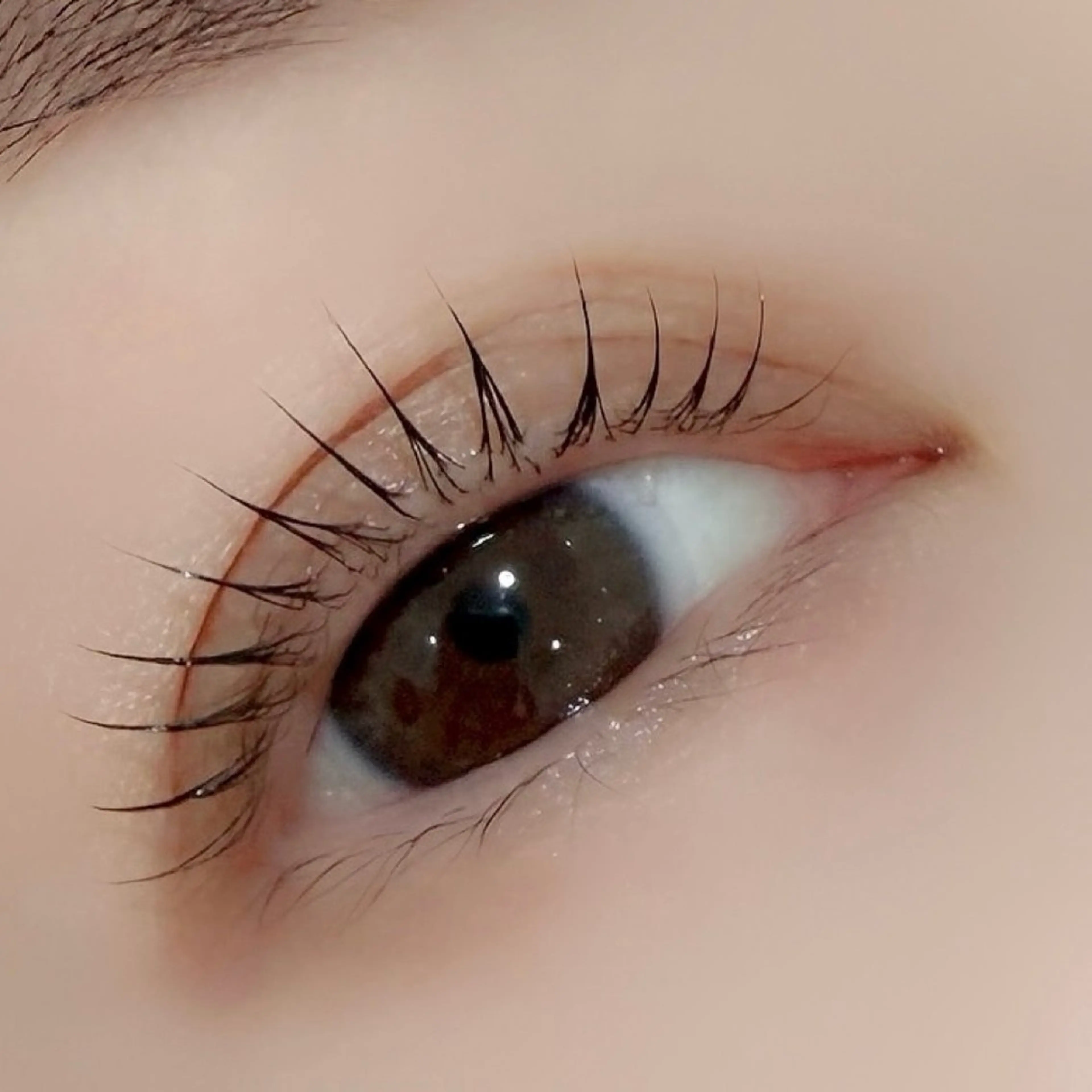 マツエク・マツパ マツパ 京橋/束感まつ毛& LED🦋藤本加奈のマツエク・マツパデザイン