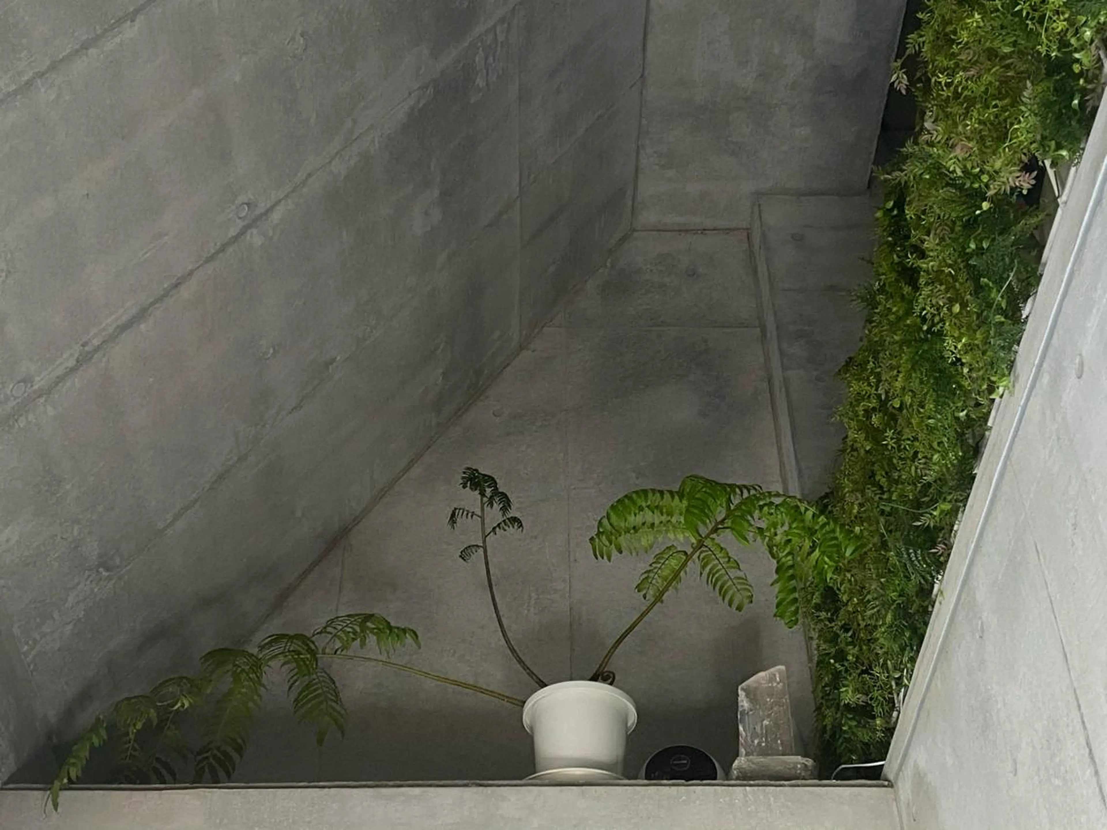 Mandarin Orange所属・毛穴から始める肌メン テマンダリンオレンジのエステ・リラクイメージ