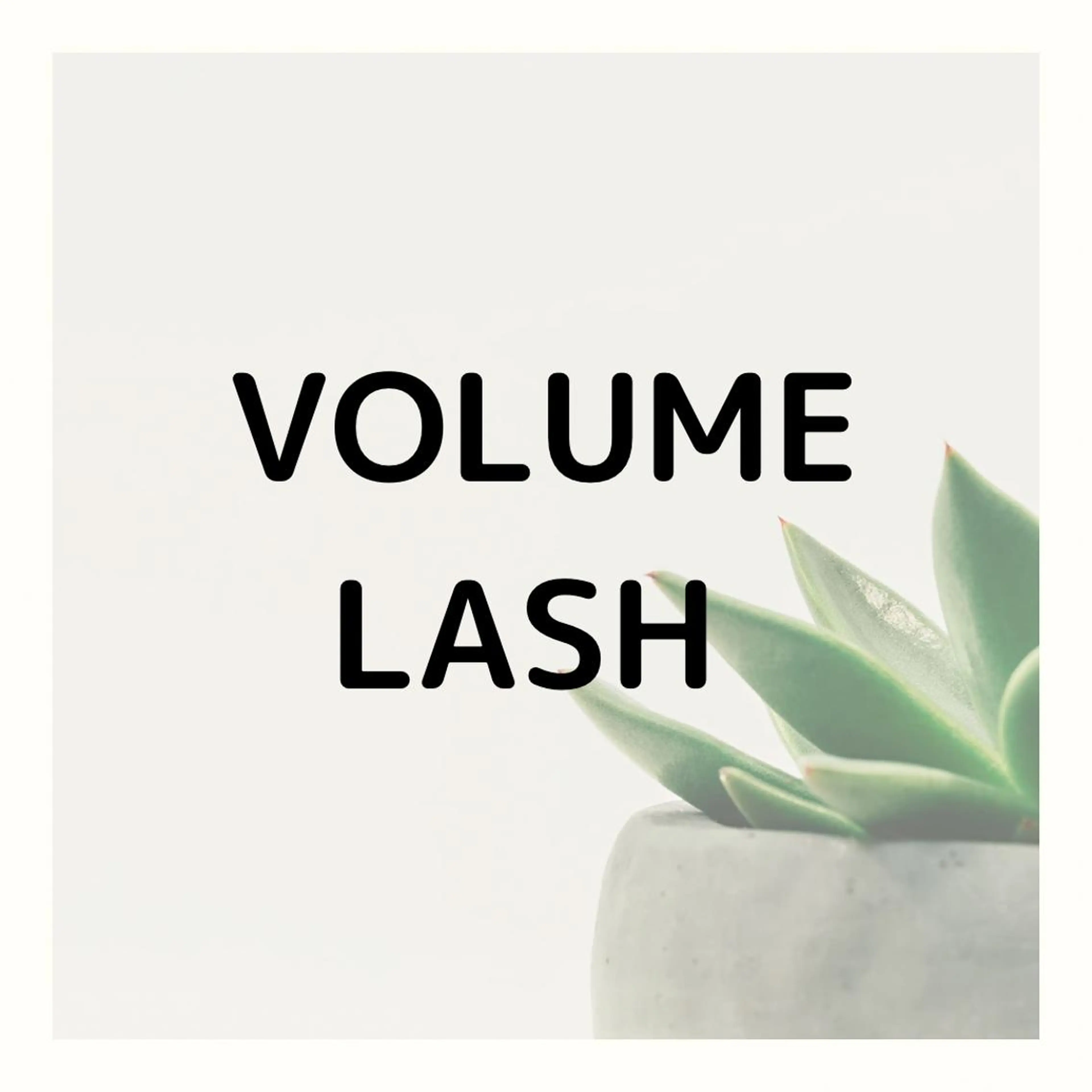 マツエク・マツパ ナチュラル マツエク Cherish所属・Cherish chieのマツエク・マツパデザイン