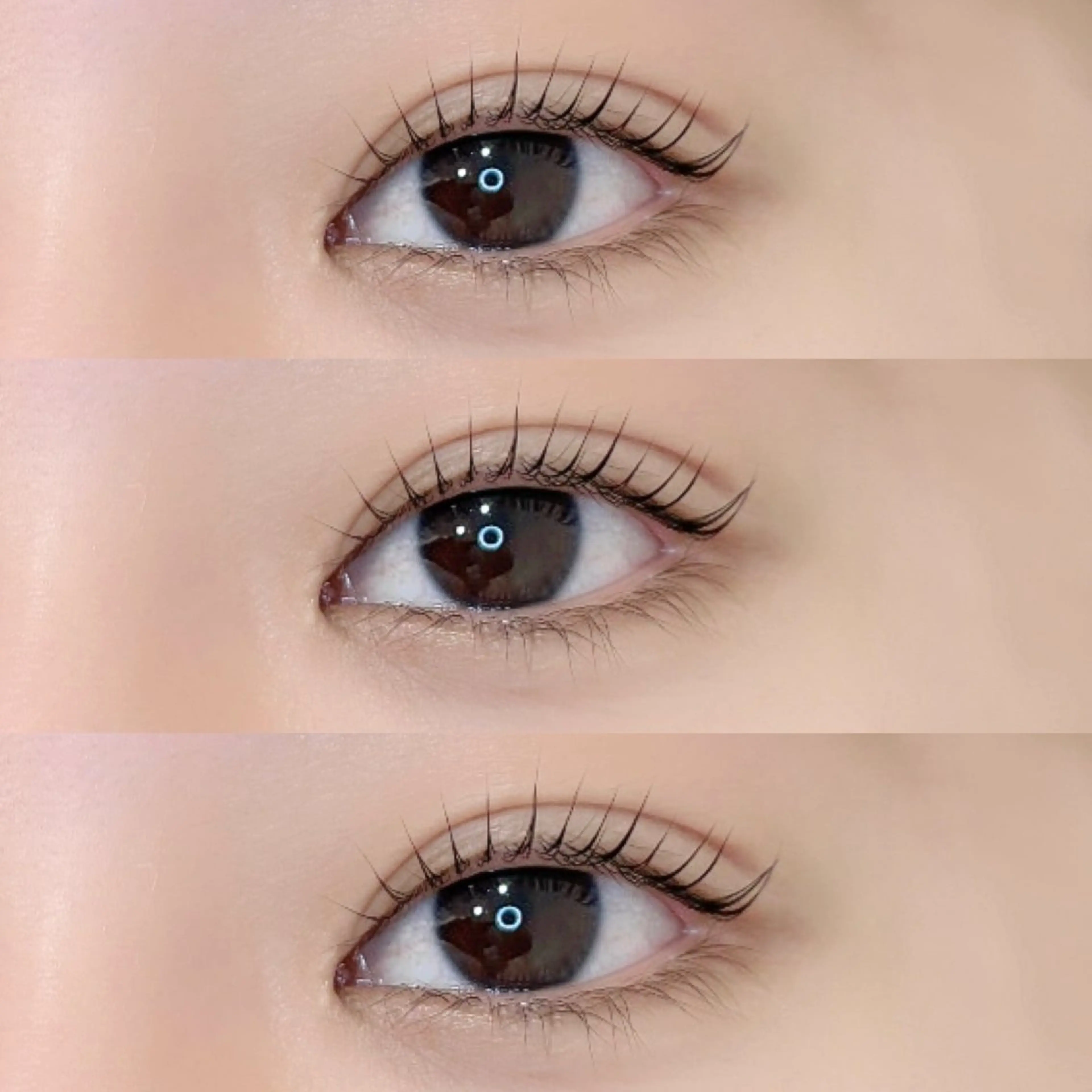 ‪‪🎀パリジェンヌラッシュリフト🎀🐰‪‪‬アフタートリートメント付き（2回目+¥500/3回目以降+¥1000）の写真