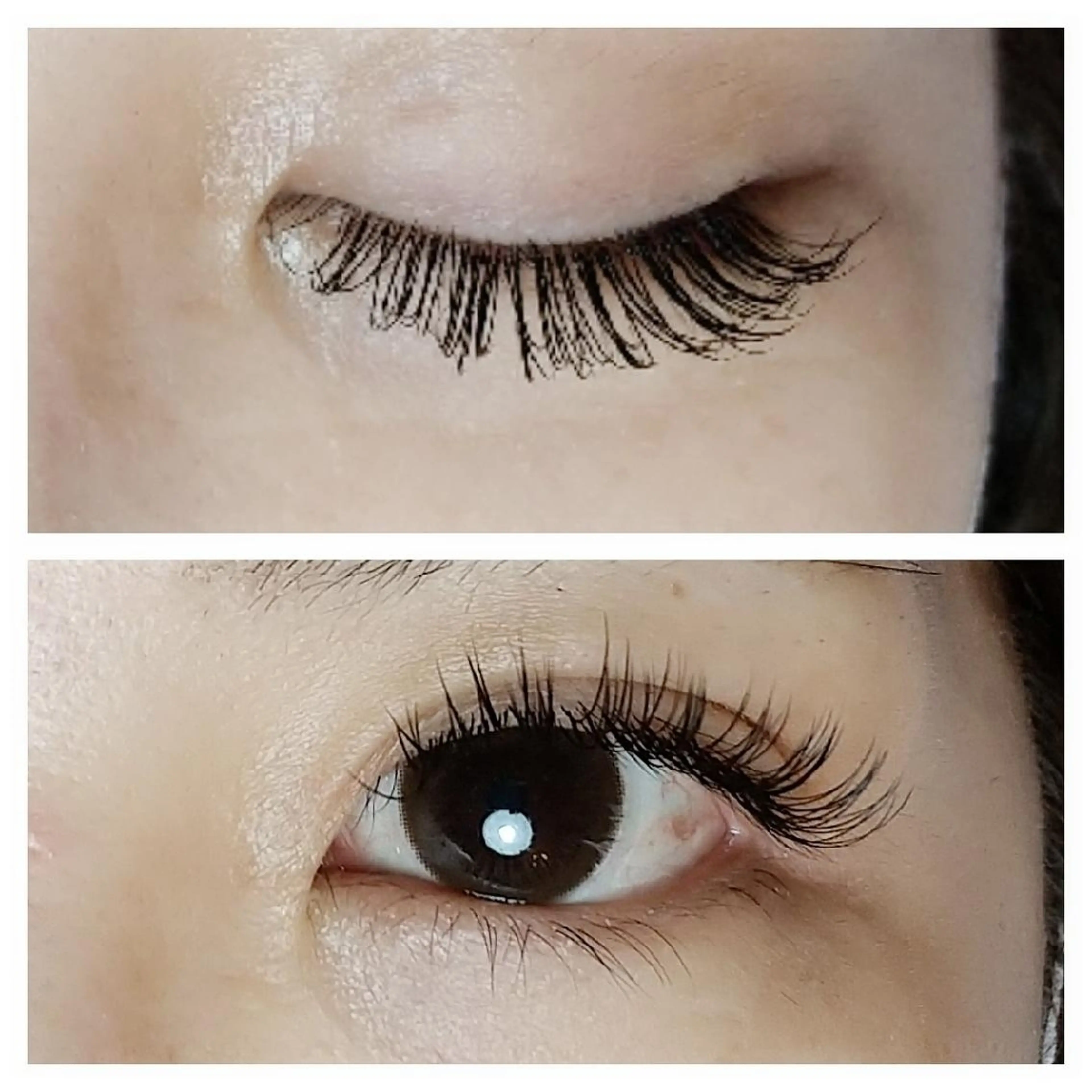 マツエク・マツパ Cカール キュート フラットラッシュ マツエク Rouge ・ K  　のマツエク・マツパデザイン