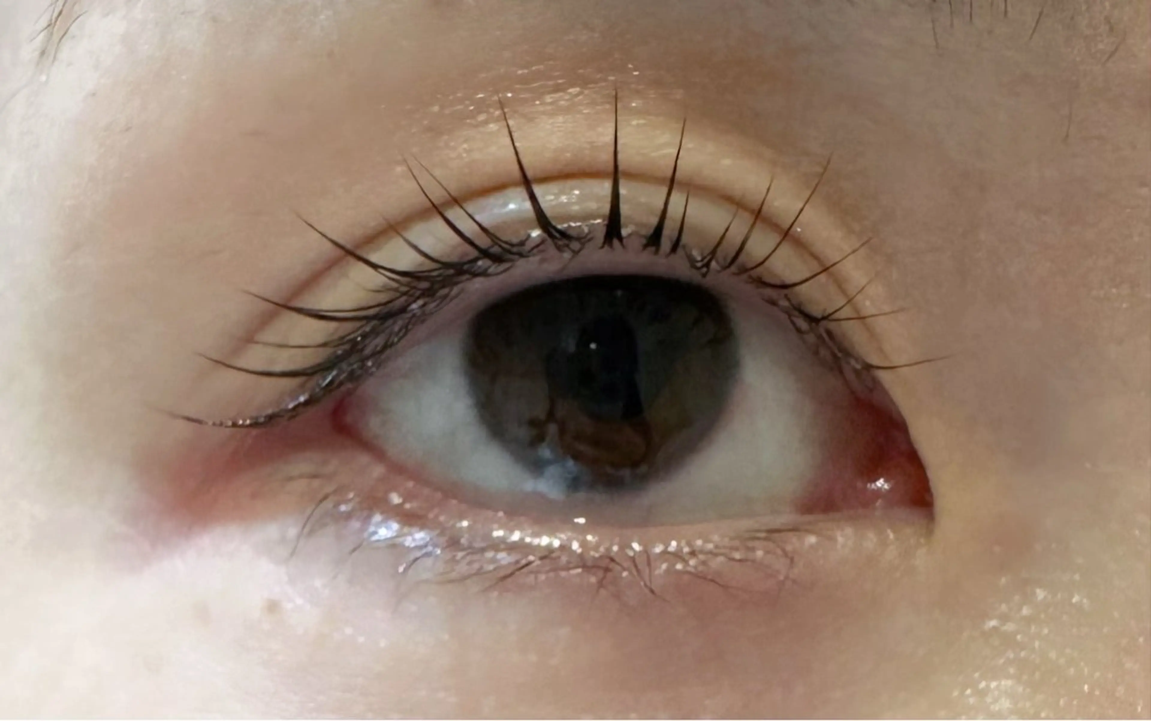 マツエク・マツパ まつ毛専門店【カルフールノア上野店】所属・Carrefour Noa🕊️上野店の眉毛・アイブロウイメージ