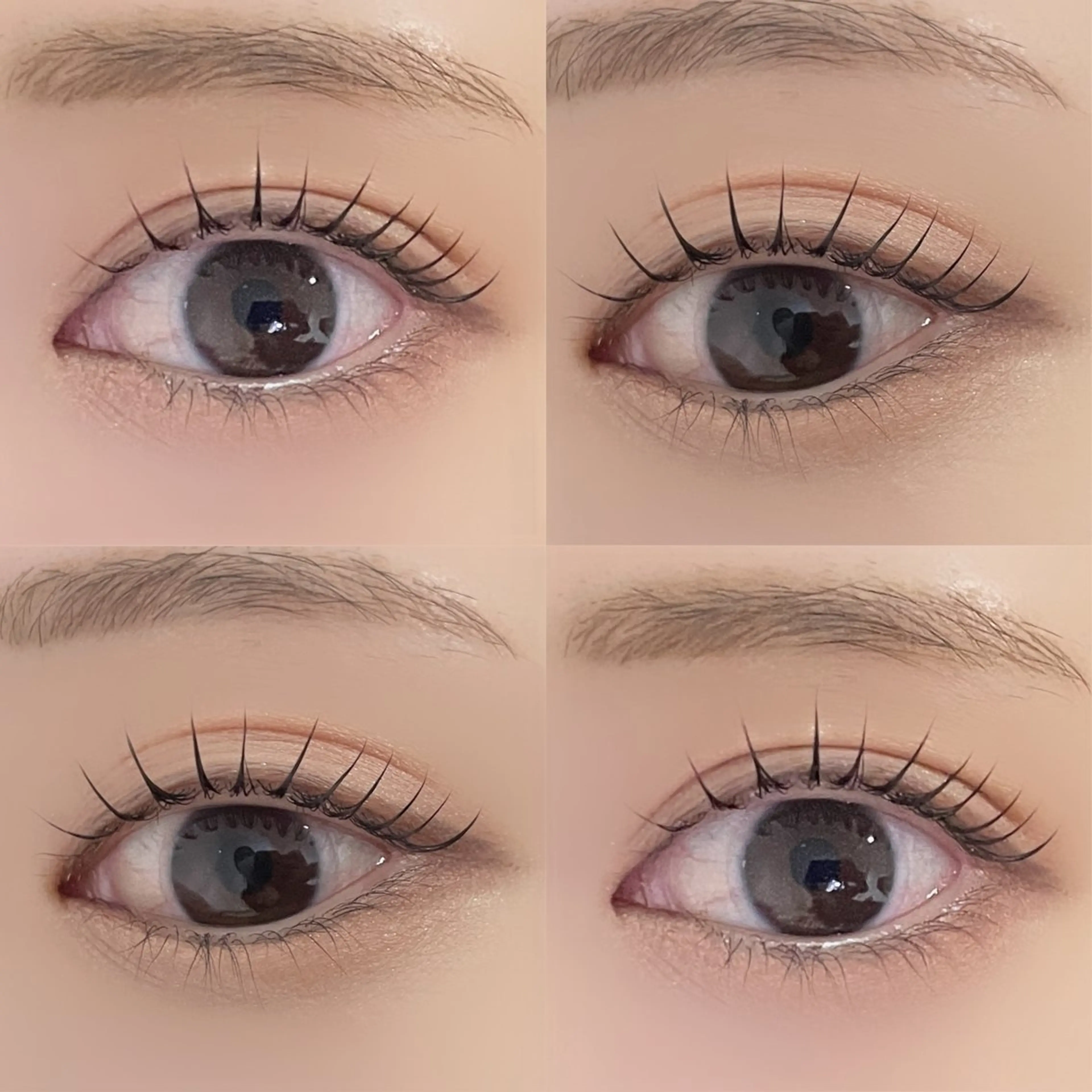 まつ毛パーマ【上のみ】+ブラックティント(目力UP）の写真