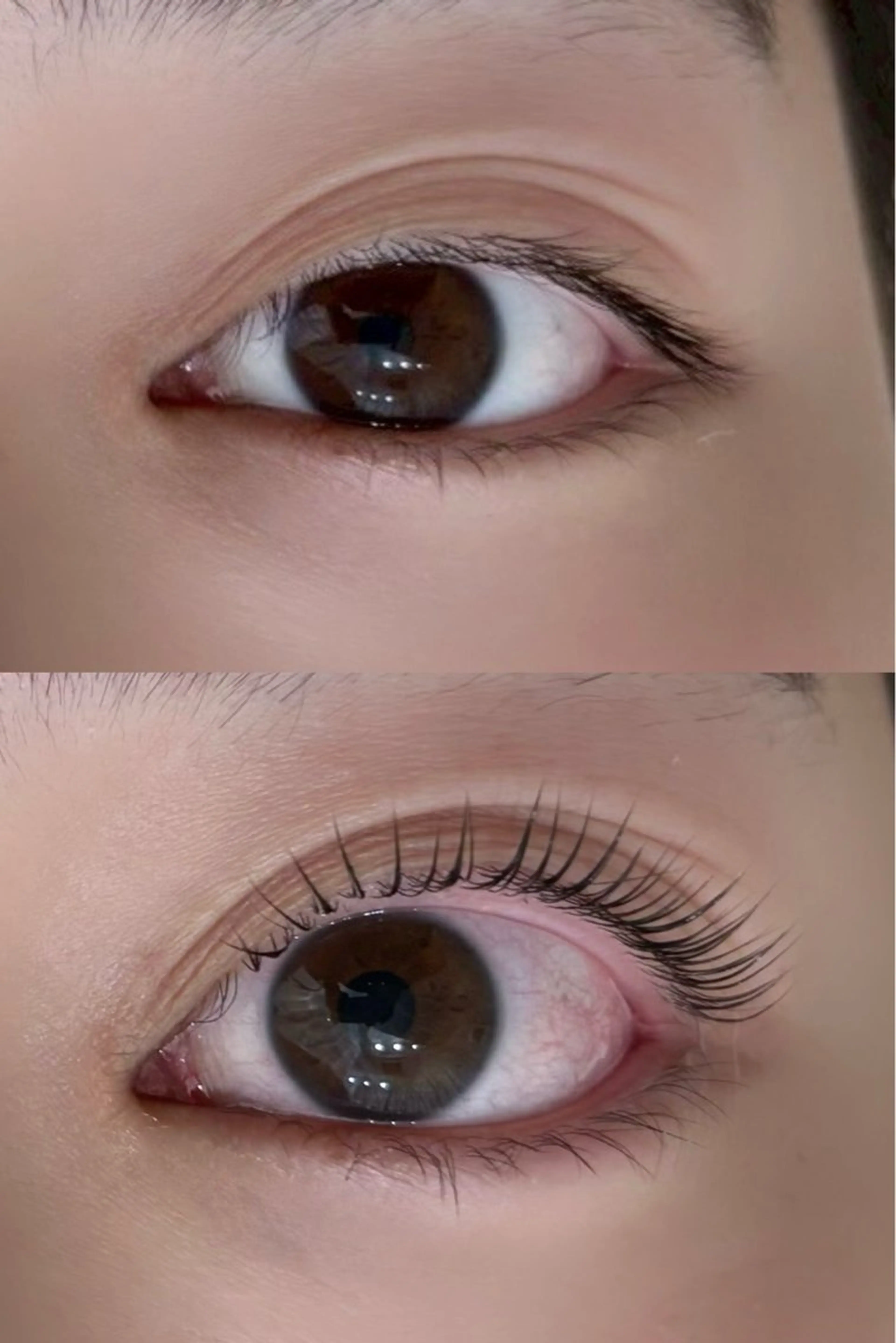 【人気No. 1】パリジェンヌ/オーダーカール　3STEPtr +ヘマチンシャンプー付の写真