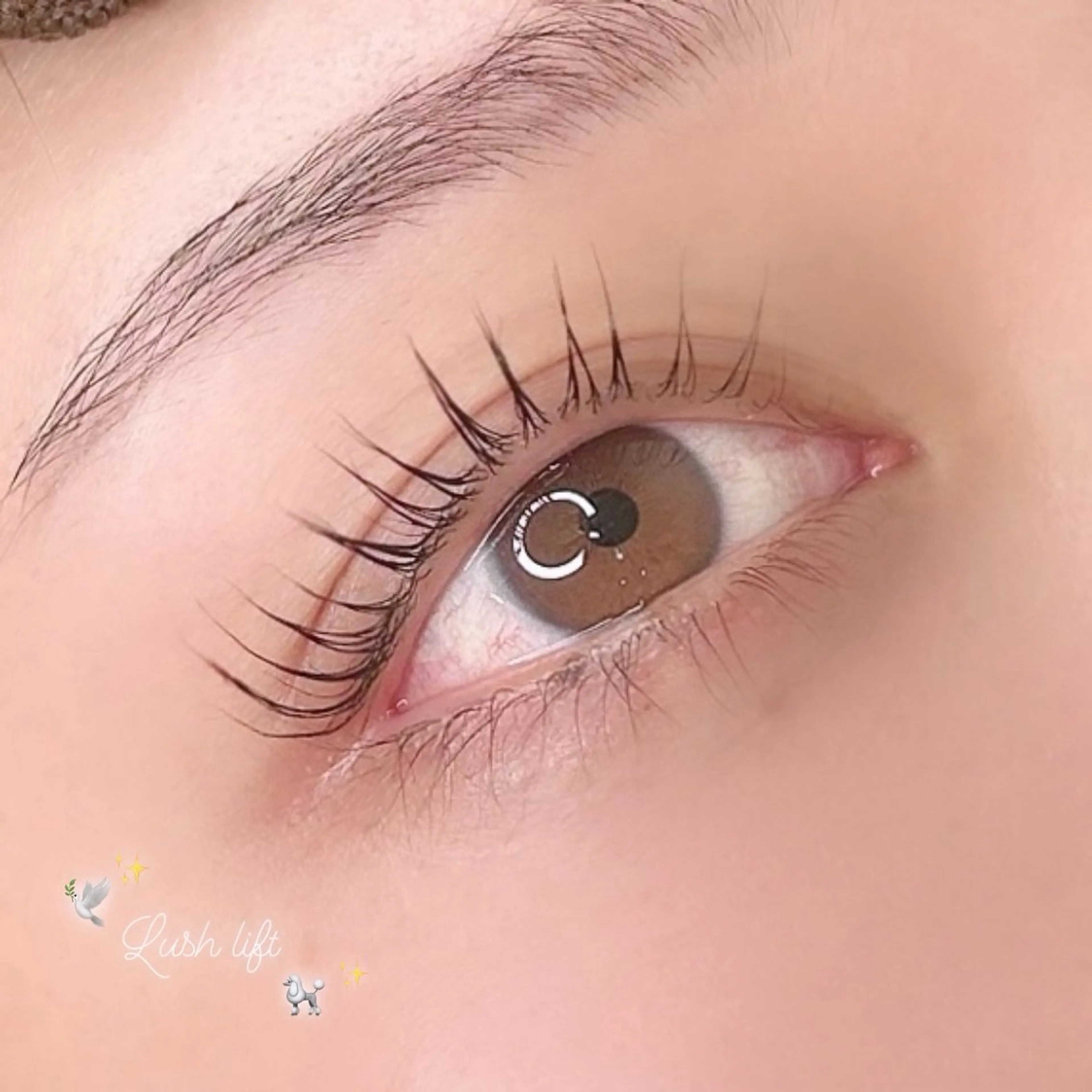 マツエク・マツパ マツパ chacha bla nc Amie 沖田のマツエク・マツパデザイン