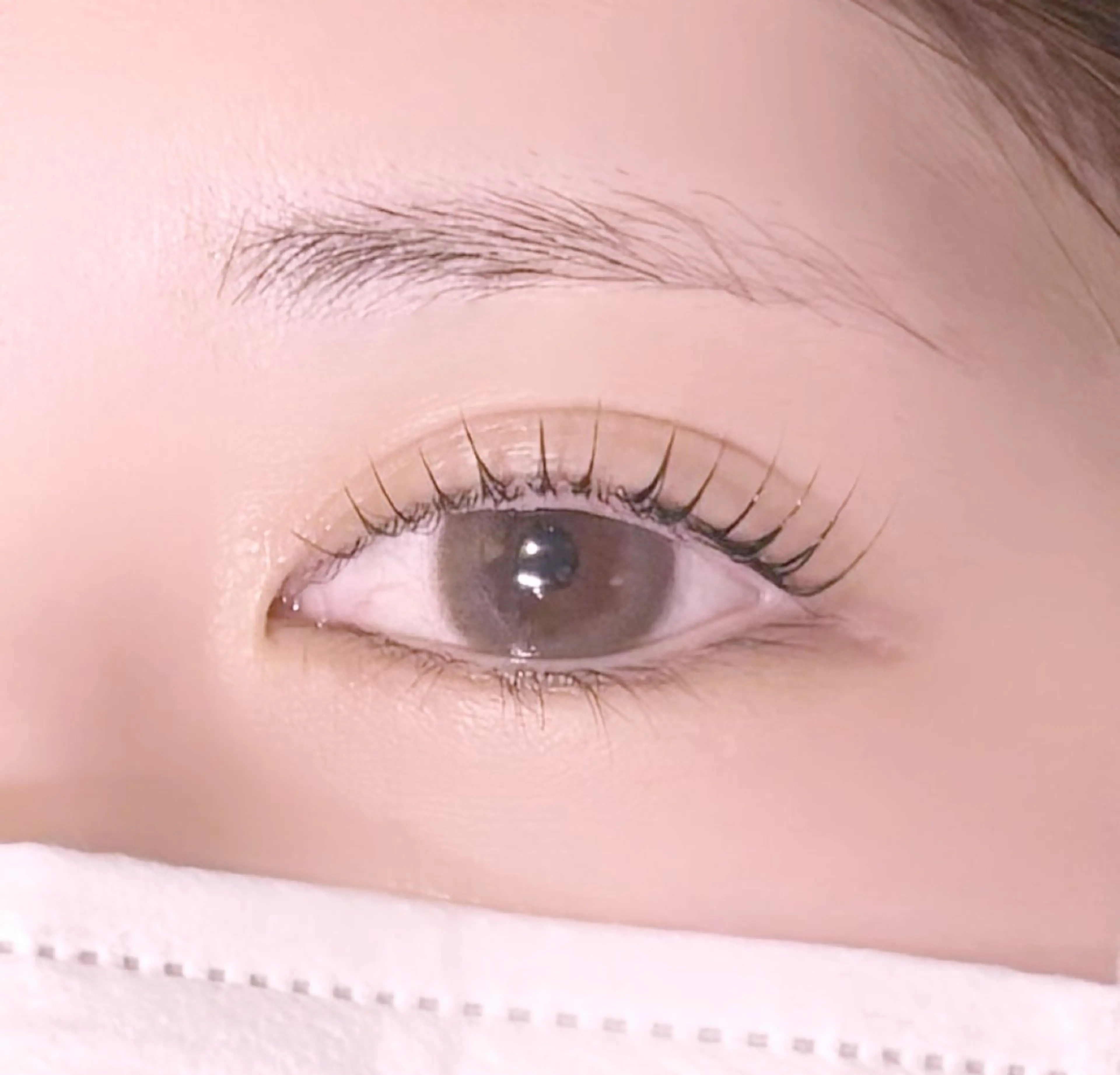 韓国風🇰🇷束感まつ毛パーマ💓‪ケラチンコーティング仕上げ付き🌙の写真