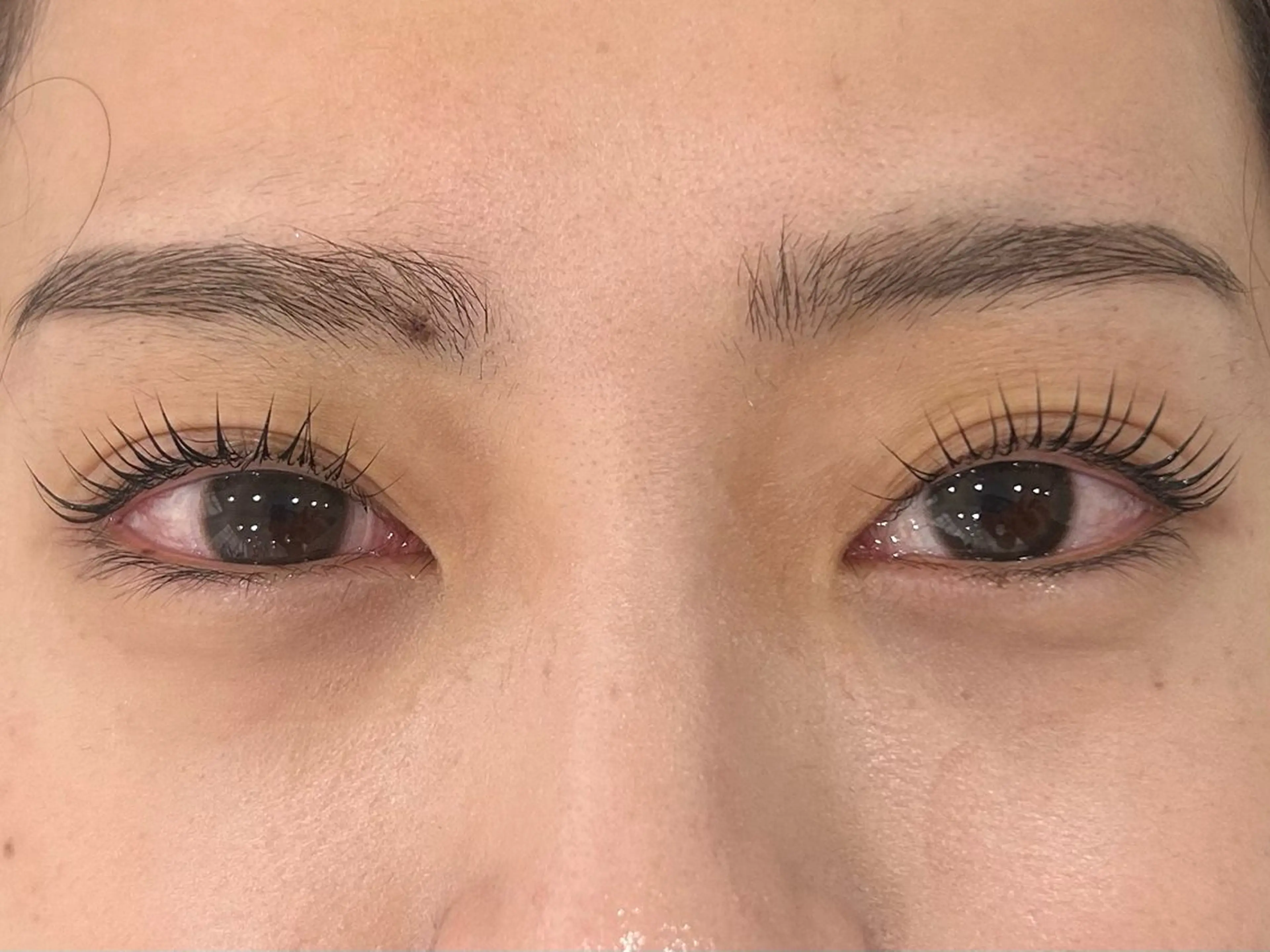 マツエク・マツパ 1日限定2名🦋💎 条件必読❗️のマツエク・マツパデザイン