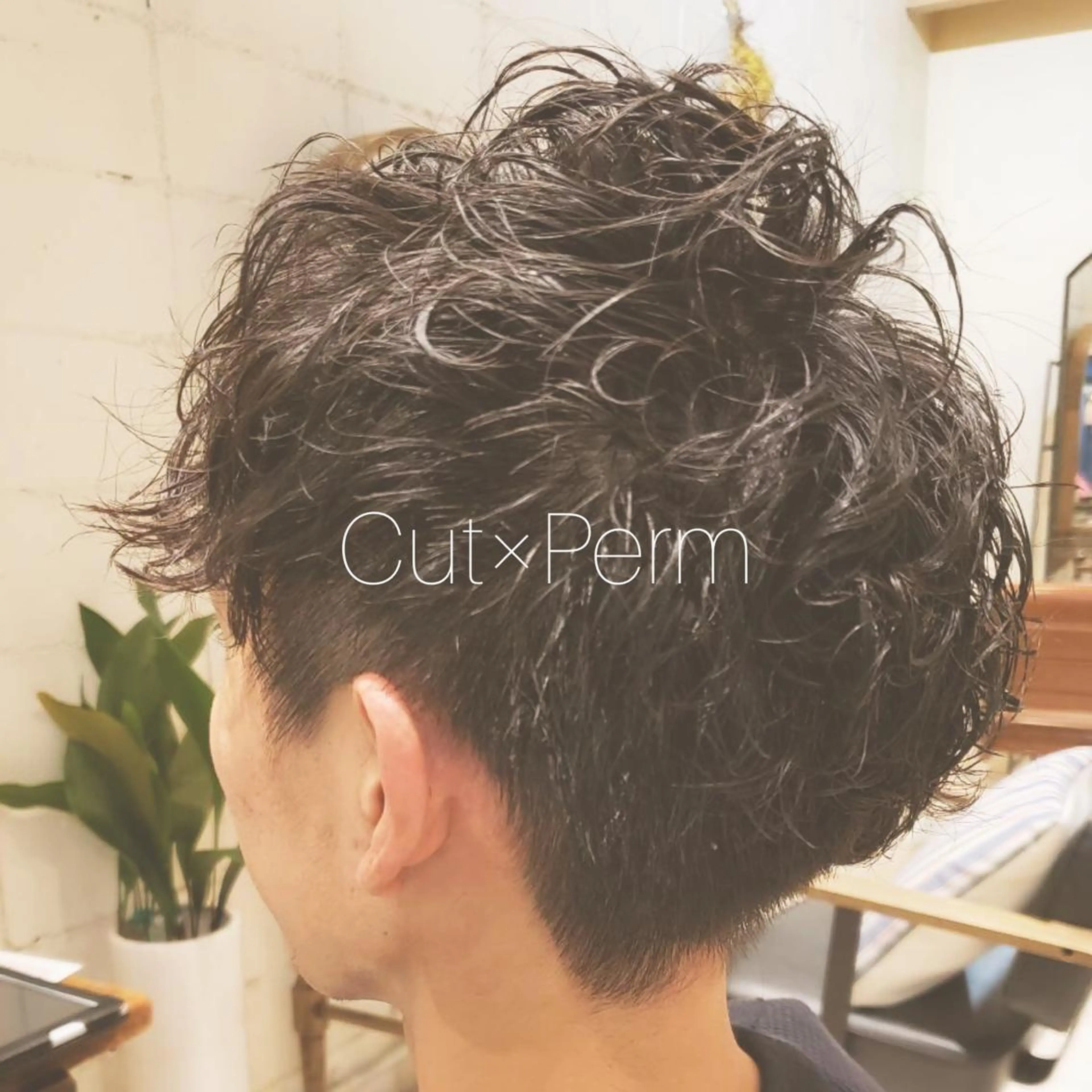パーマ メンズ カット パーマ 𓅰なかがわ ふみな𓅯のヘアスタイル