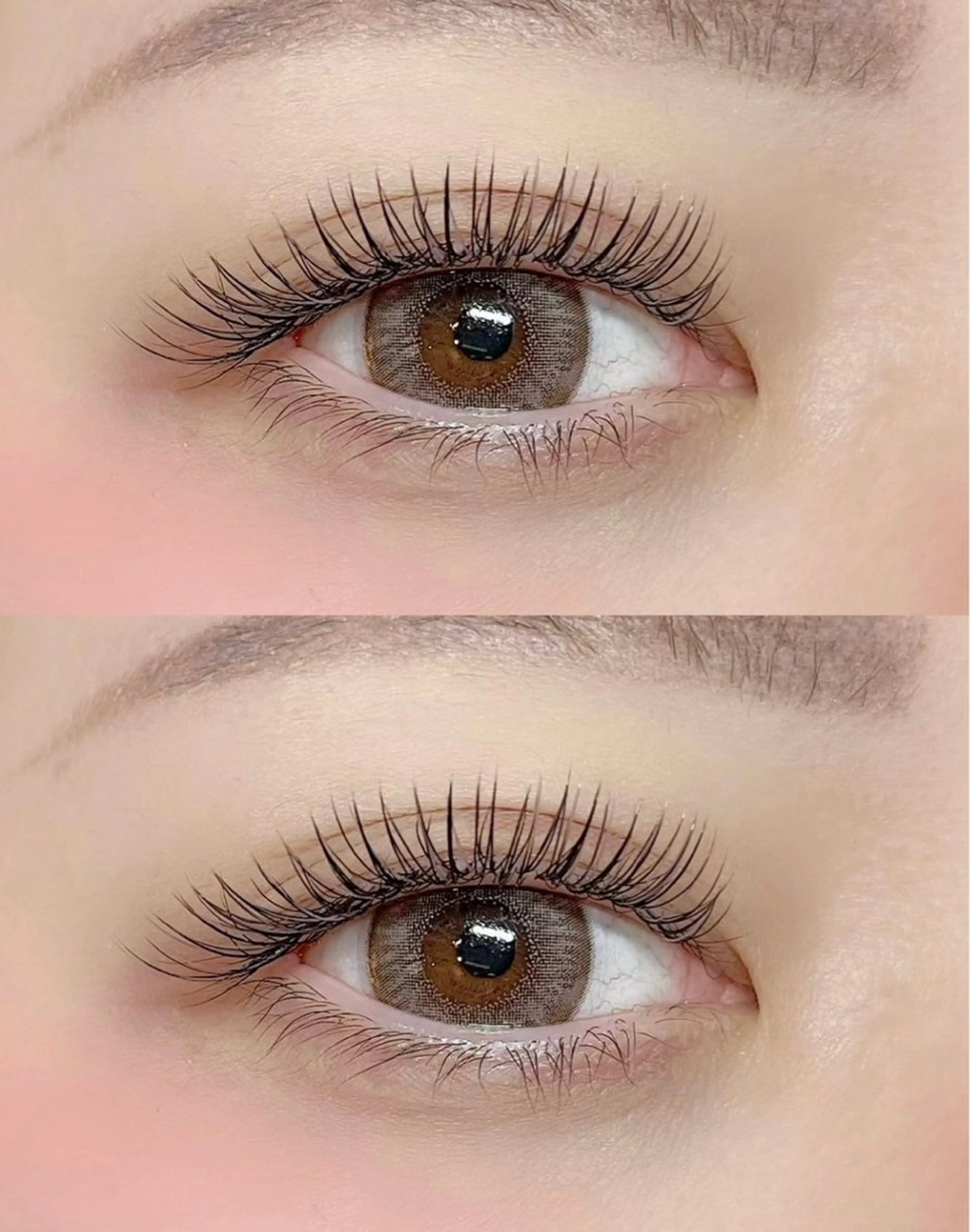 【新規オフ無料】次世代バインドロック 80束の写真