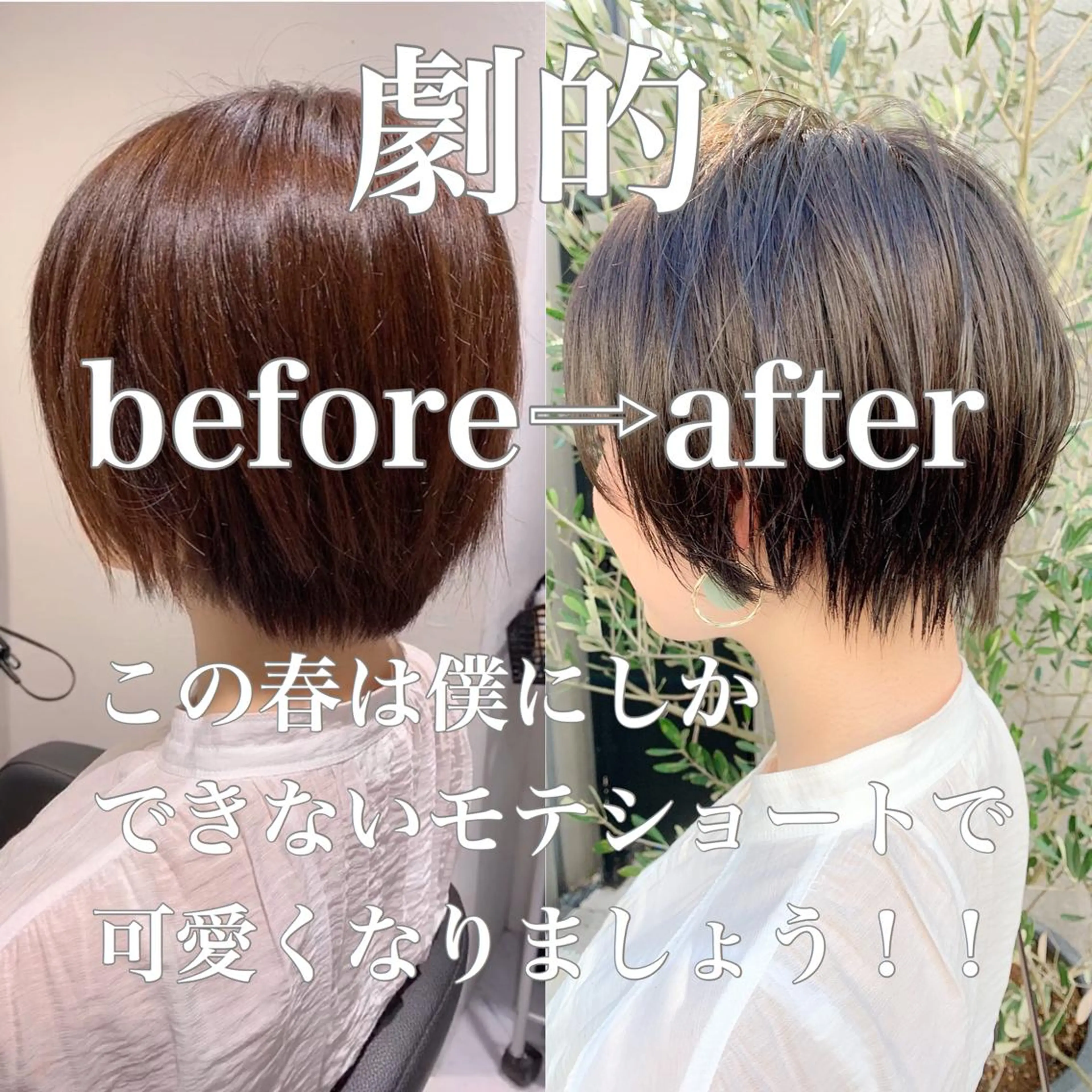 ショート カラー 大人かわいい💍🤍 ボブ/ショートボブのヘアスタイル