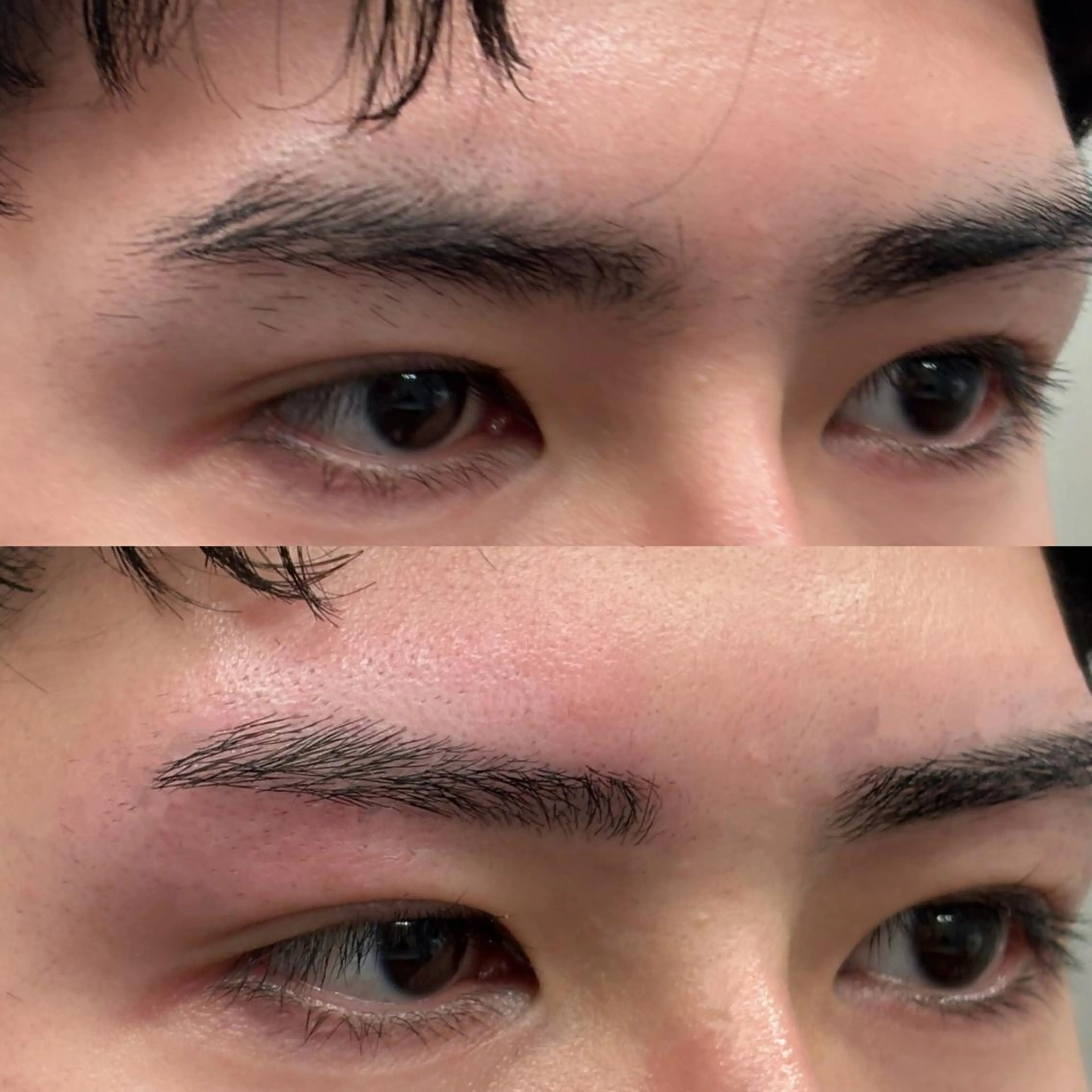 アイブロウ メンズアイブロウ 坪田 龍馬の眉毛・アイブロウイメージ