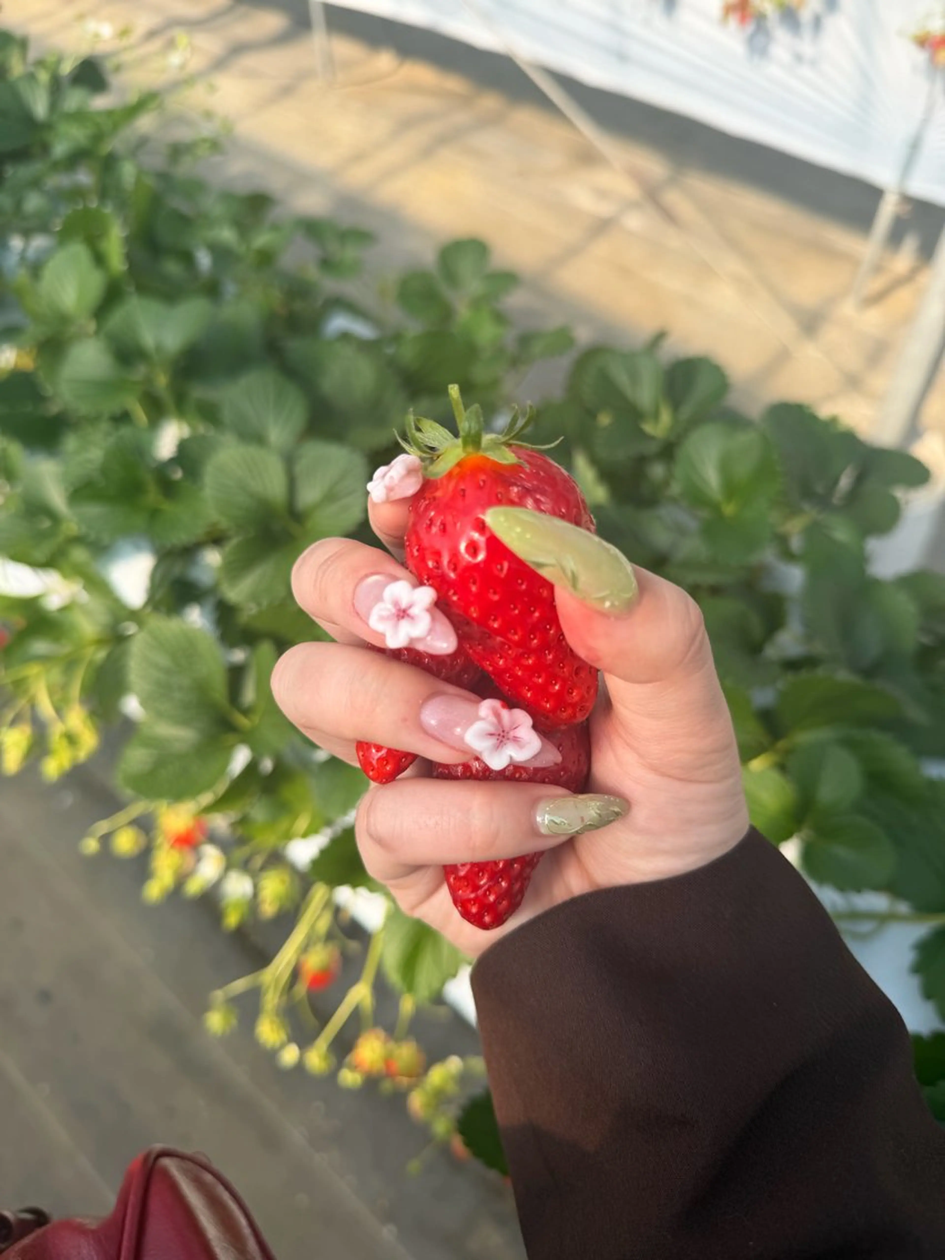 ネイル アートネイル 桜ネイル フラッシュネイル フラッシュマグ グリーン ハンドネイル フットネイル butterflower所属・藤井 里世のネイルデザイン