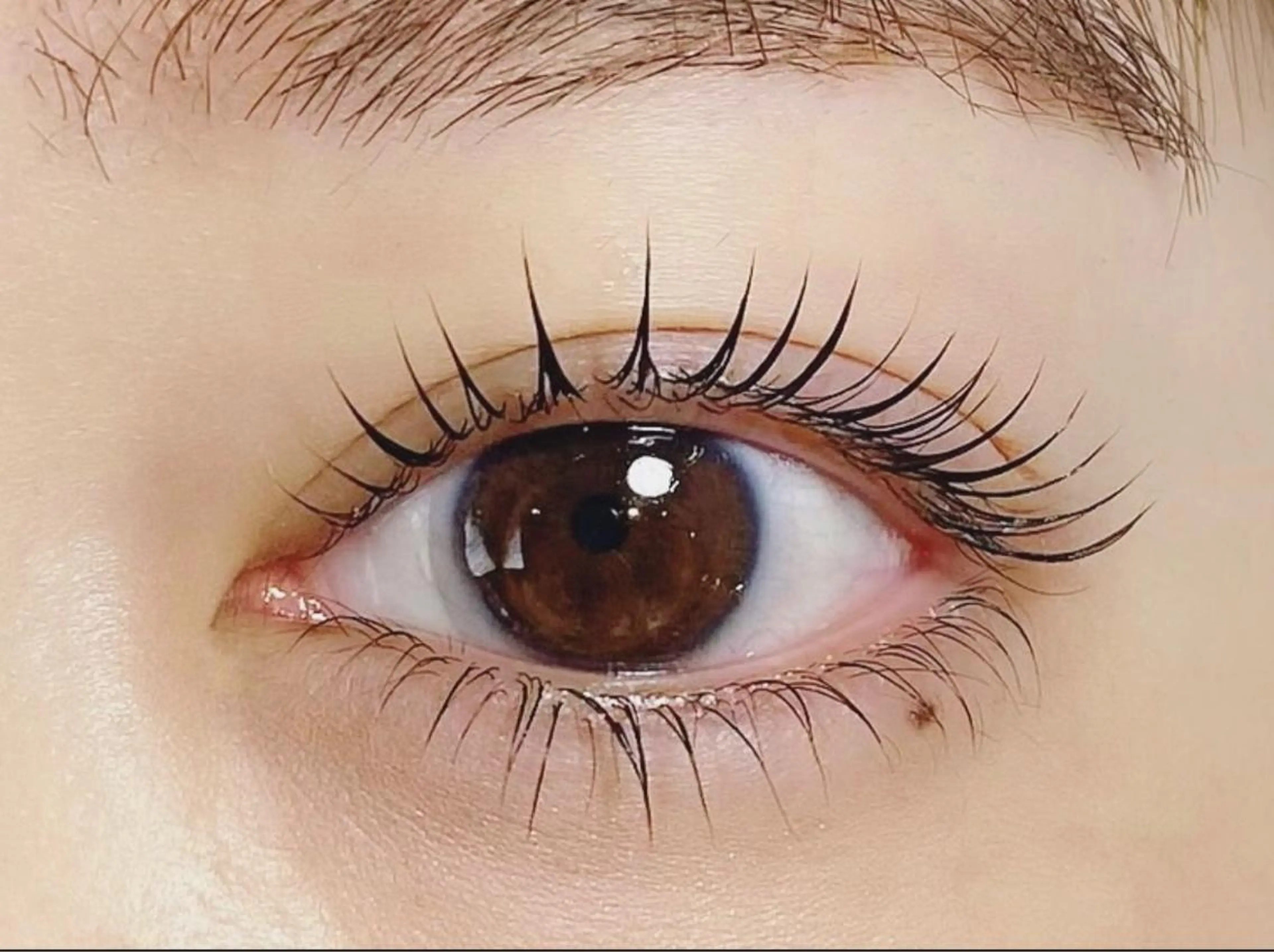 🧚‍♀️上下まつげパーマ🧚‍♀️仕上げのトリートメント付き🌿お目元に合わせて選べるパーマ🫧の写真