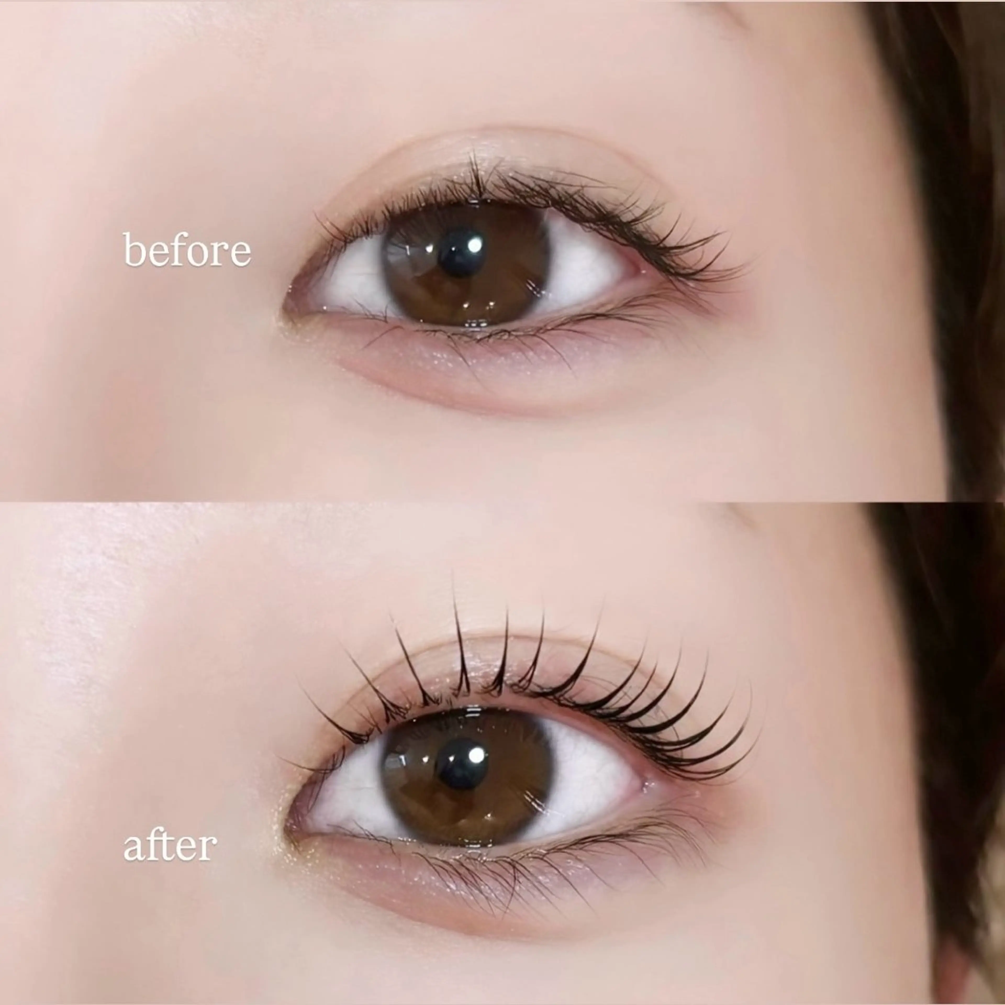 《12月限定割引🎄》パリジェンヌ/パーソナルラッシュリフトの写真