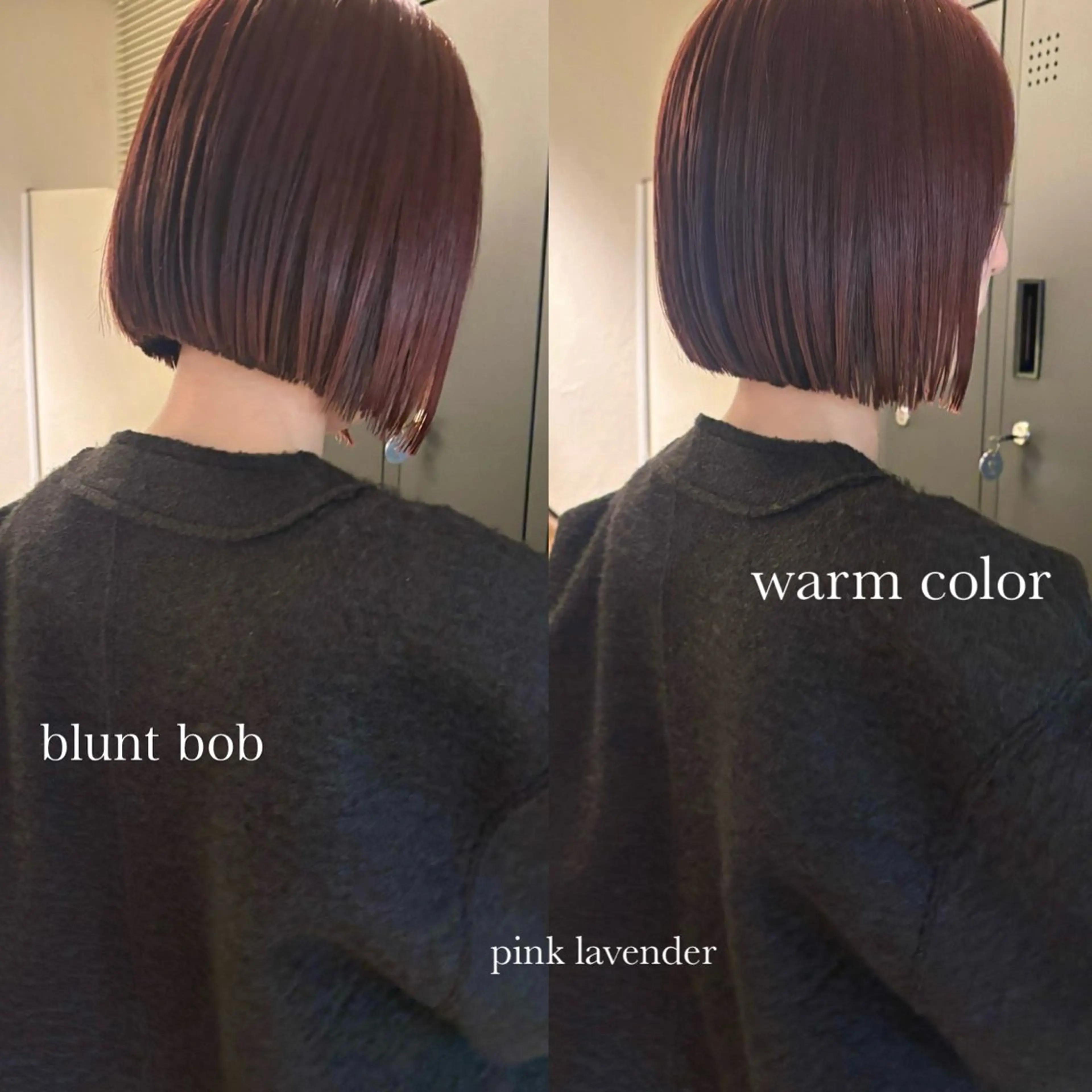 ショート カラー カット ヘアカラー ⌇🌹透明感カラー 🌹ᴍᴇɢᴜᴍɪ ⌇のヘアスタイル