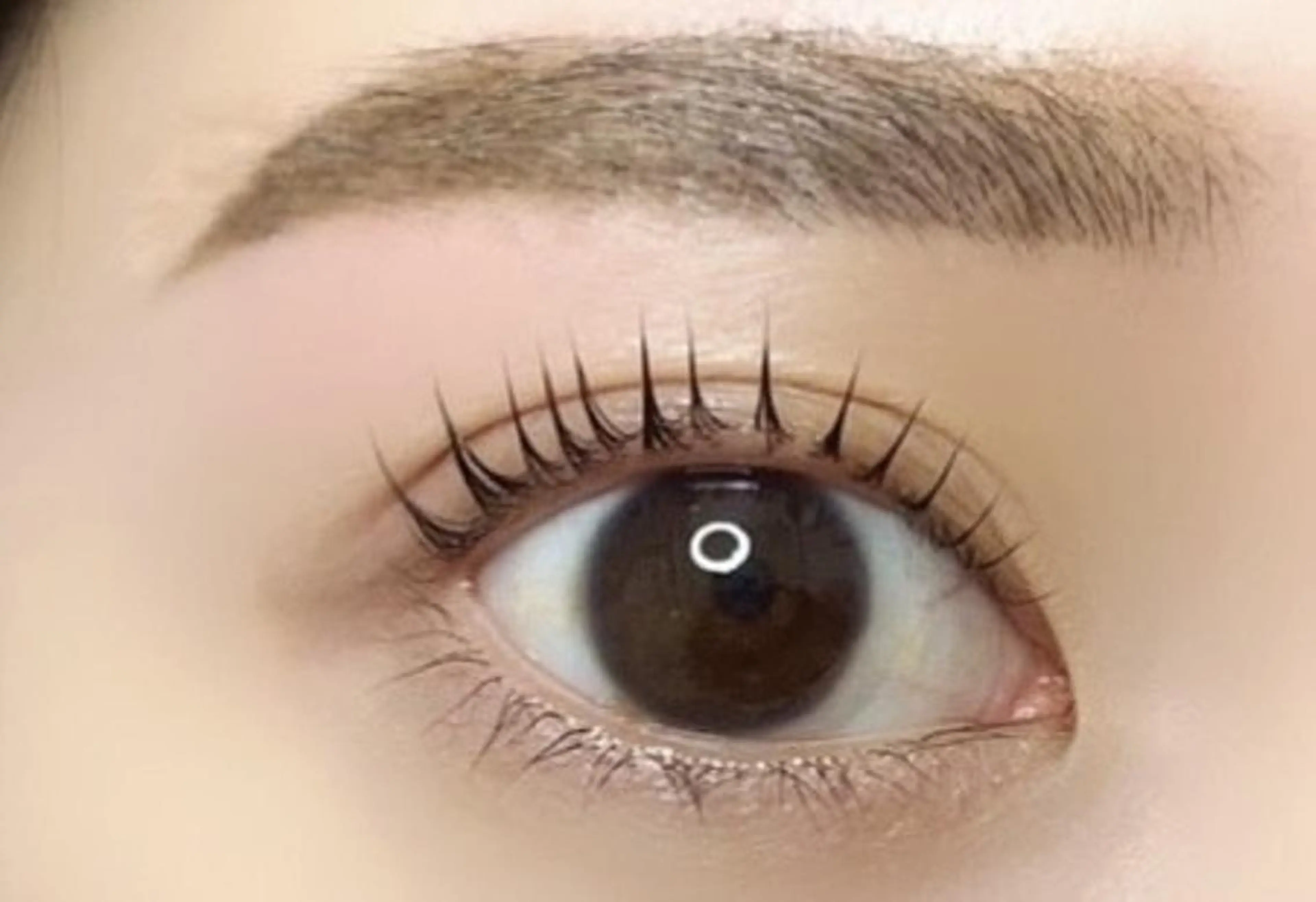 マツエク・マツパ loa🤎野田屋町店 /石井あすかのマツエク・マツパデザイン