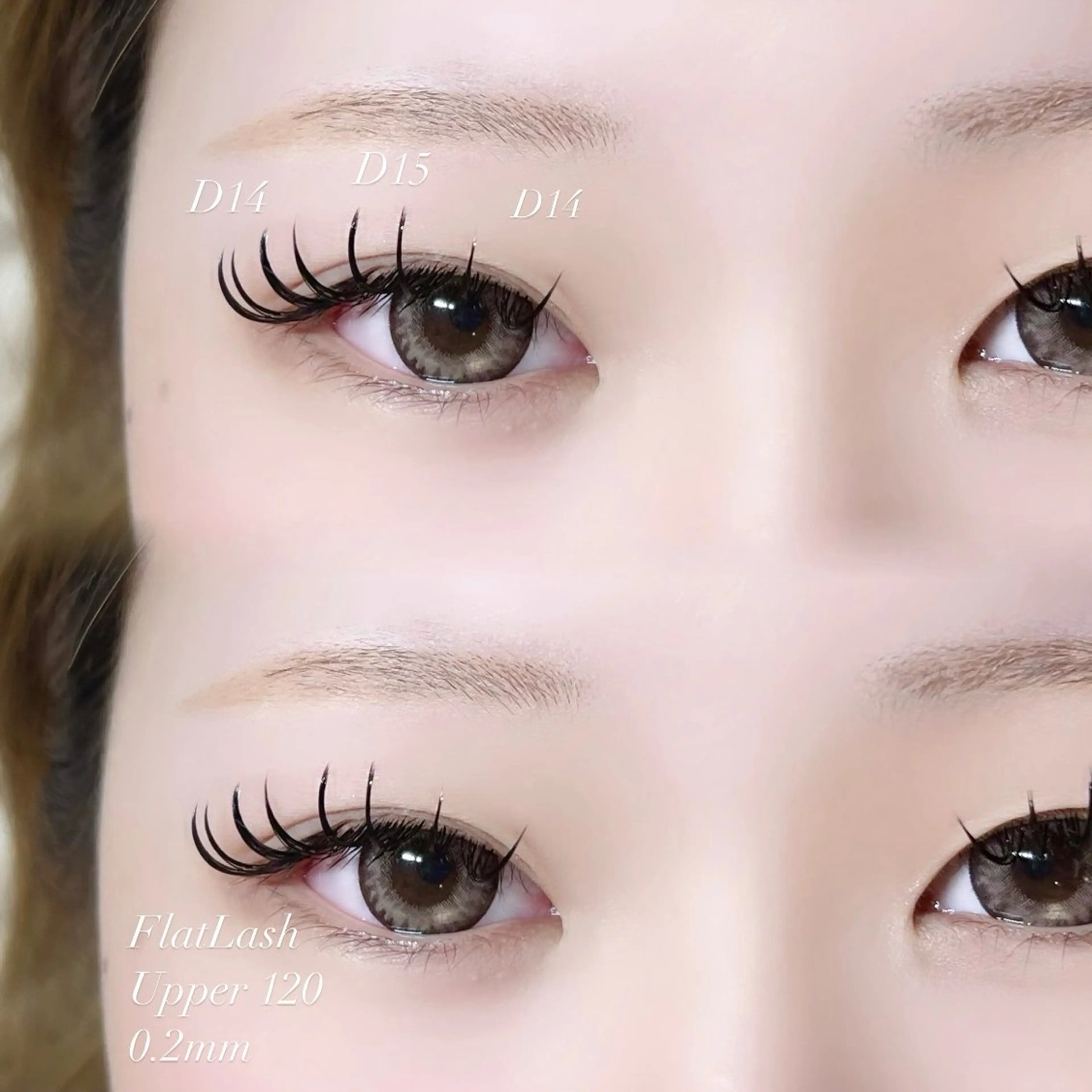 マツエク・マツパ Dカール フラットラッシュ マツエク YÜÜKI eyelist/麻生のマツエク・マツパデザイン