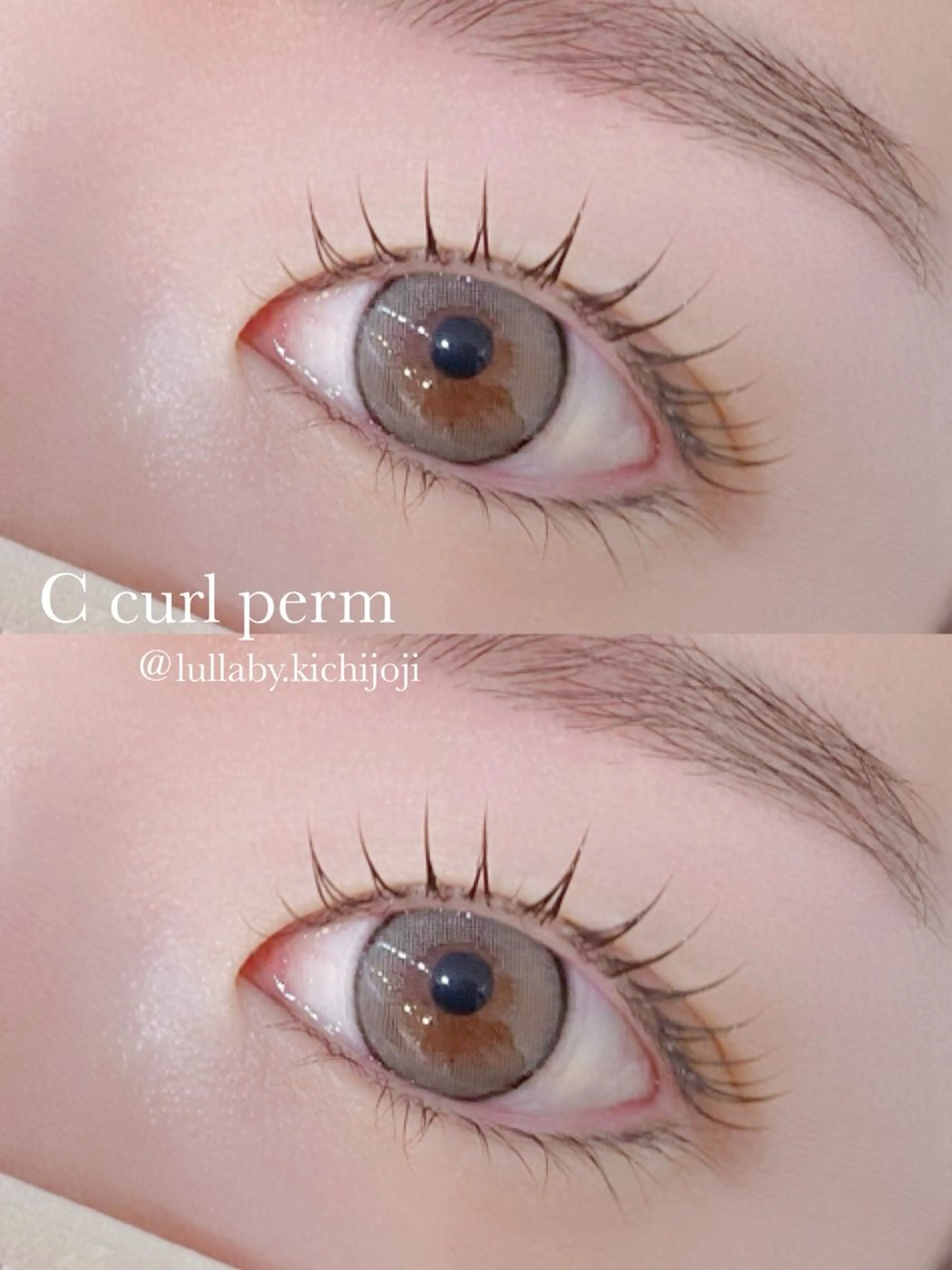 🧸上まつげパーマ🧸【コーティング付き】の写真