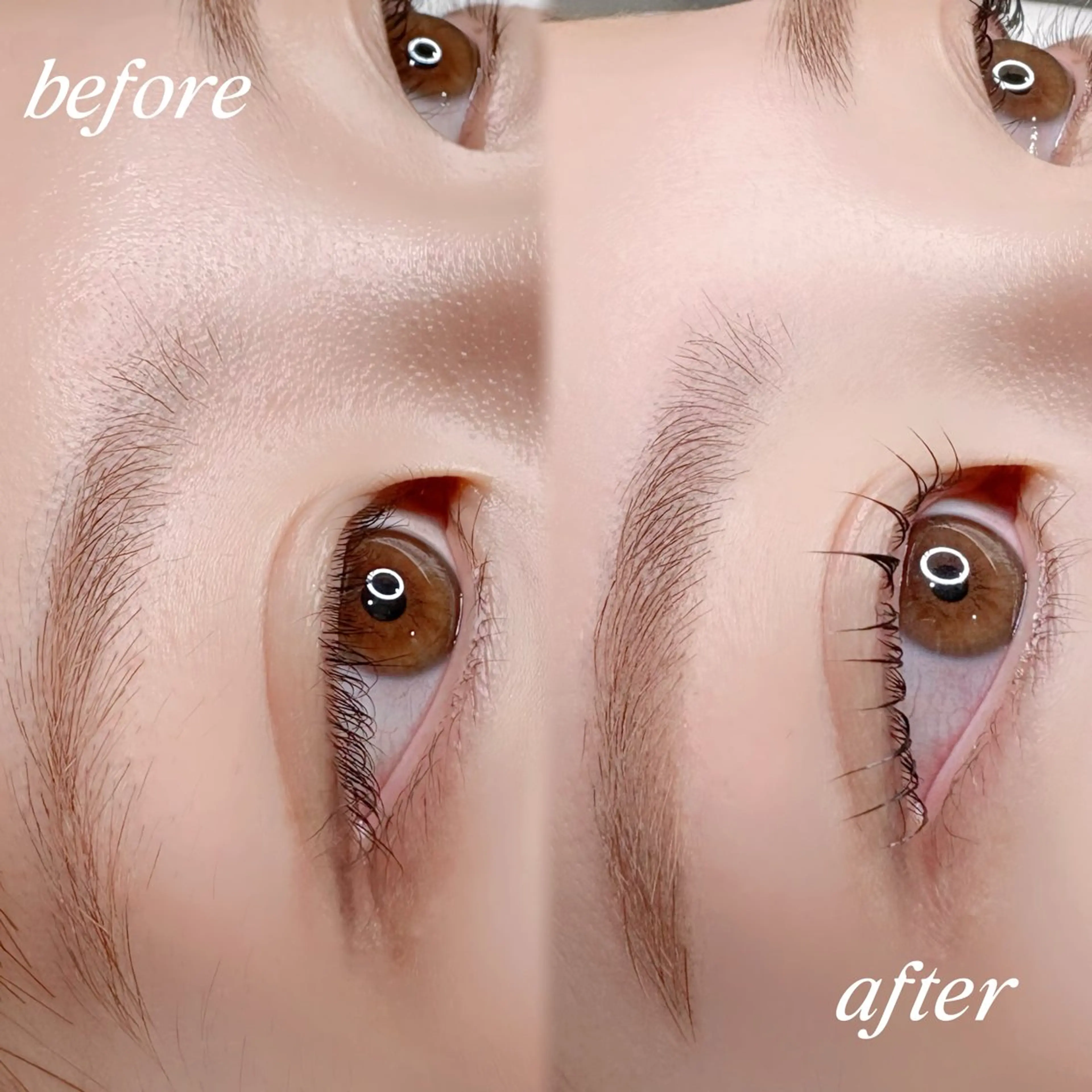 【セットメニュー🍒】美眉スタイリング(ワックス&眉カット&間引き)＋まつげパーマの写真