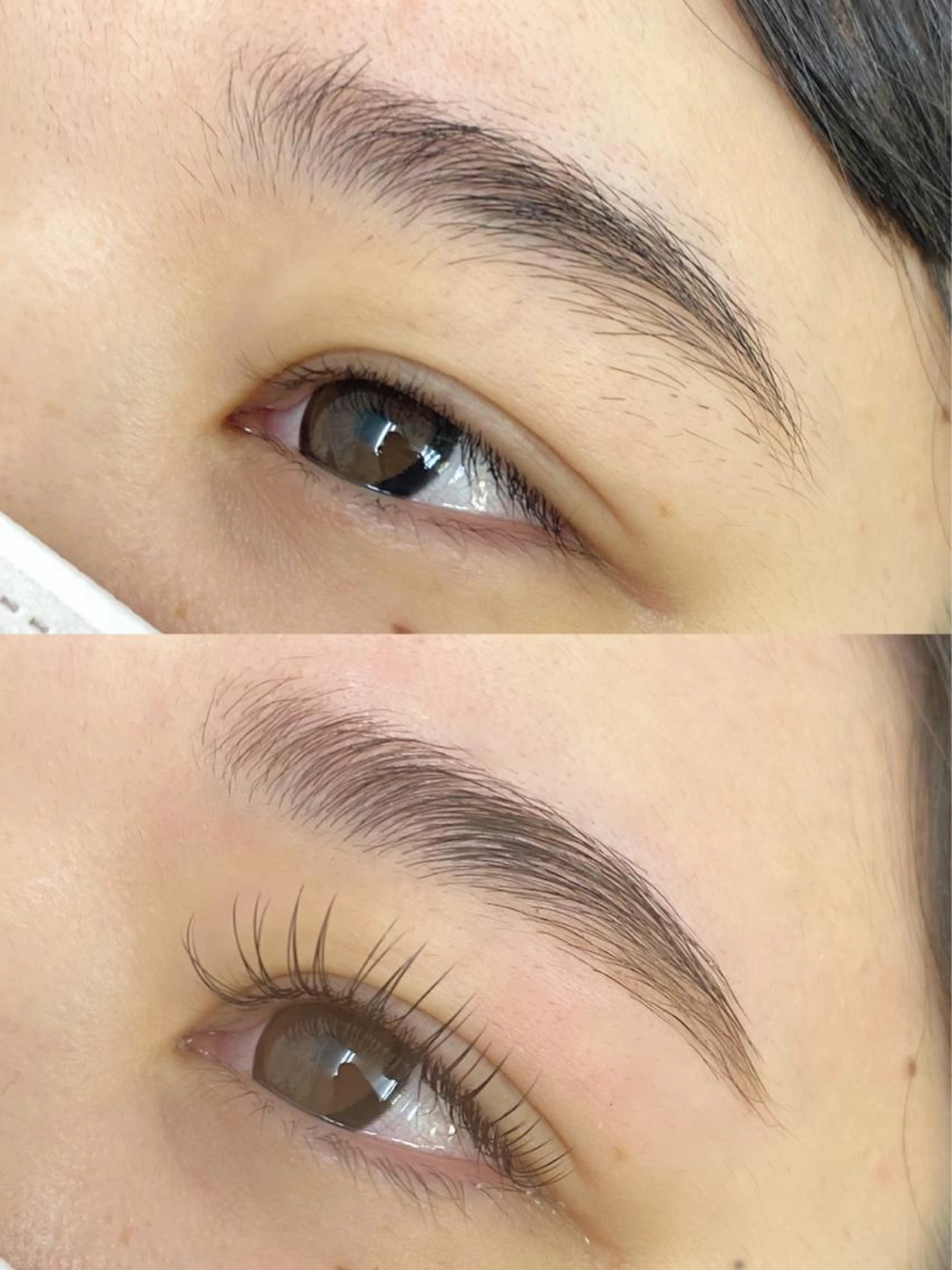 パリジェンヌブロウリフト(眉毛)🌟所要時間90分の写真
