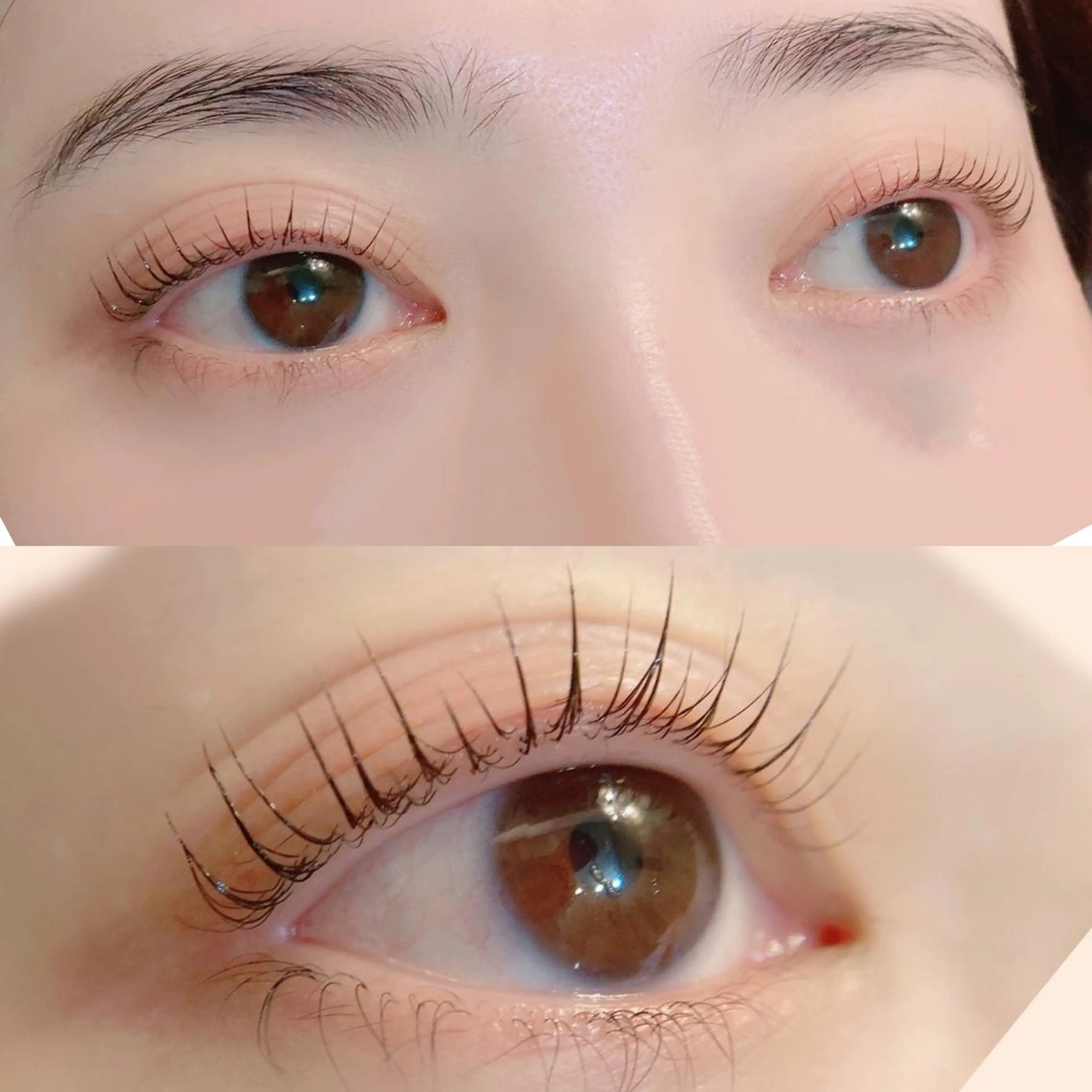 マツエク・マツパ ケラチンラッシュリフト Angela アンジェラ南増尾のエステ・リラクイメージ