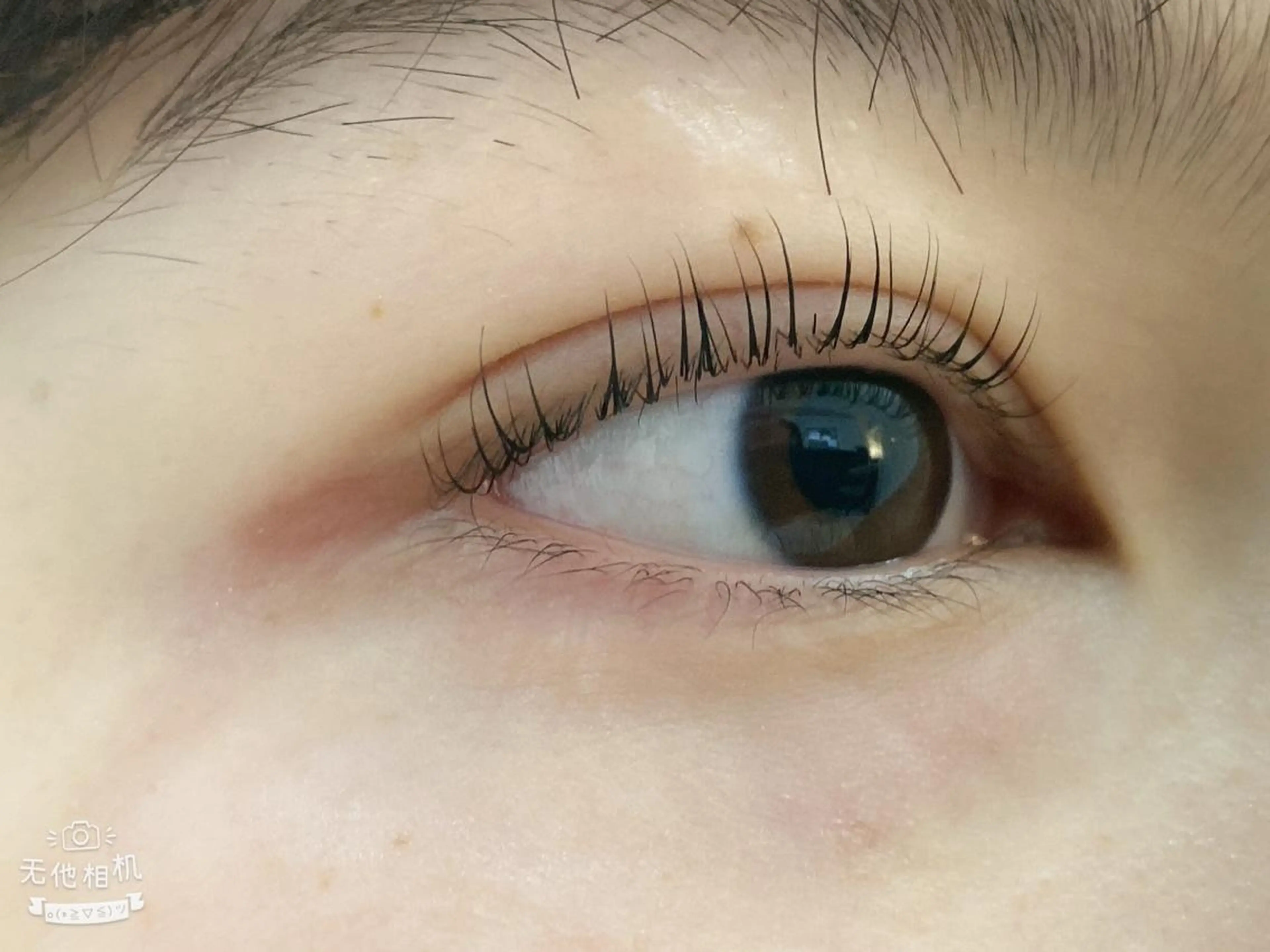 マツエク・マツパ BEL EYE BEAUTYアイのマツエク・マツパデザイン