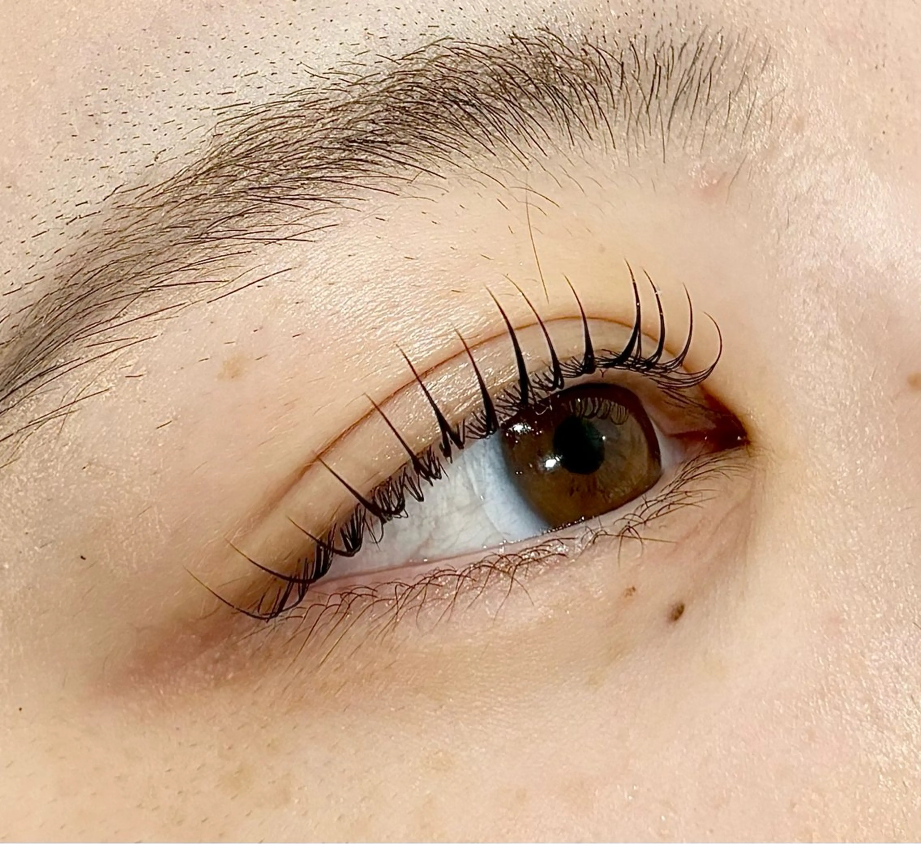 マツエク・マツパ マツパ grey aoiのマツエク・マツパデザイン