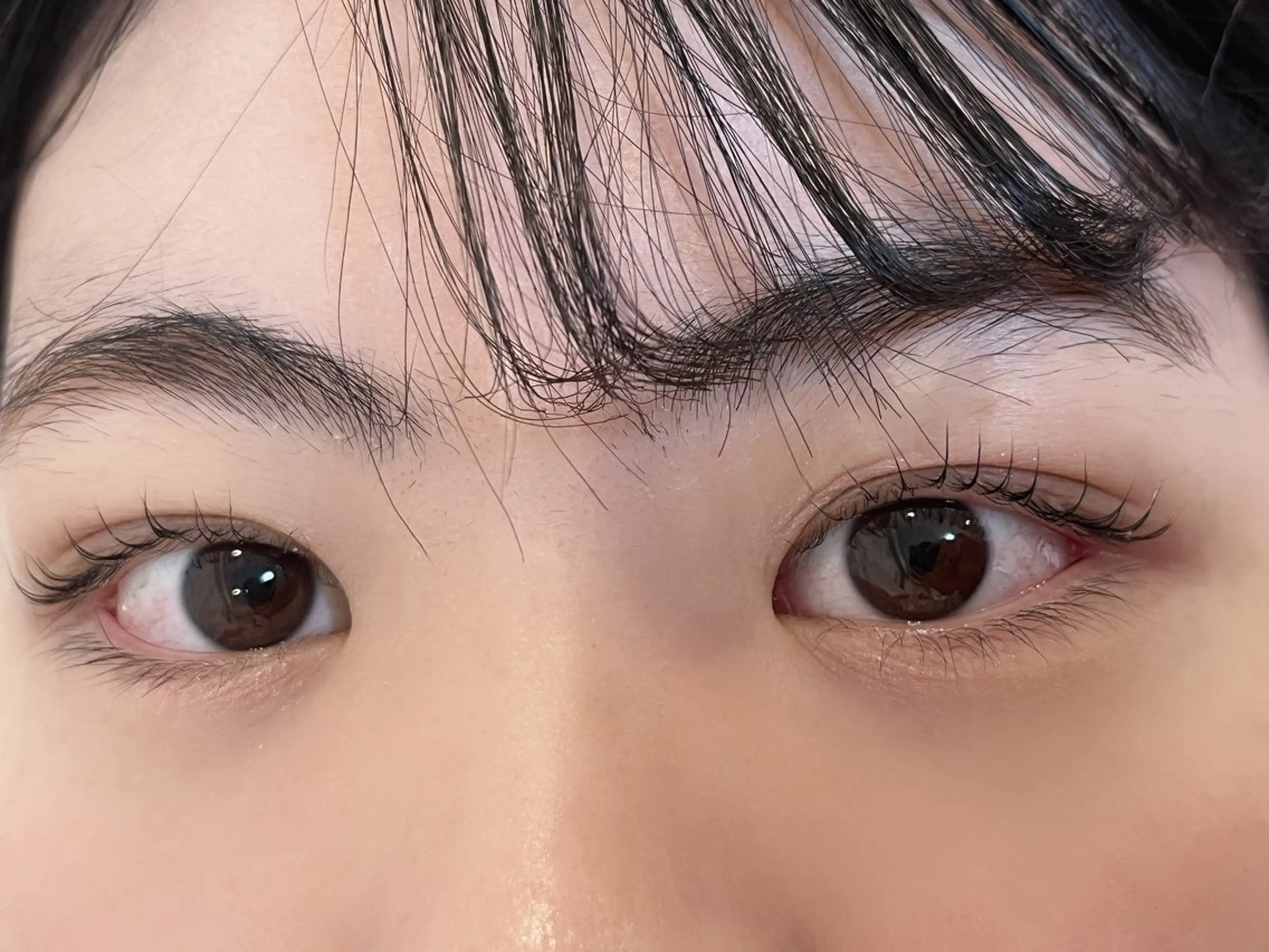 【🎀ミニモ限定価格🎀】【平日限定】【当日予約Ok】💓束感韓国風　まつ毛パーマ(ラッシュリフト)上のみの写真