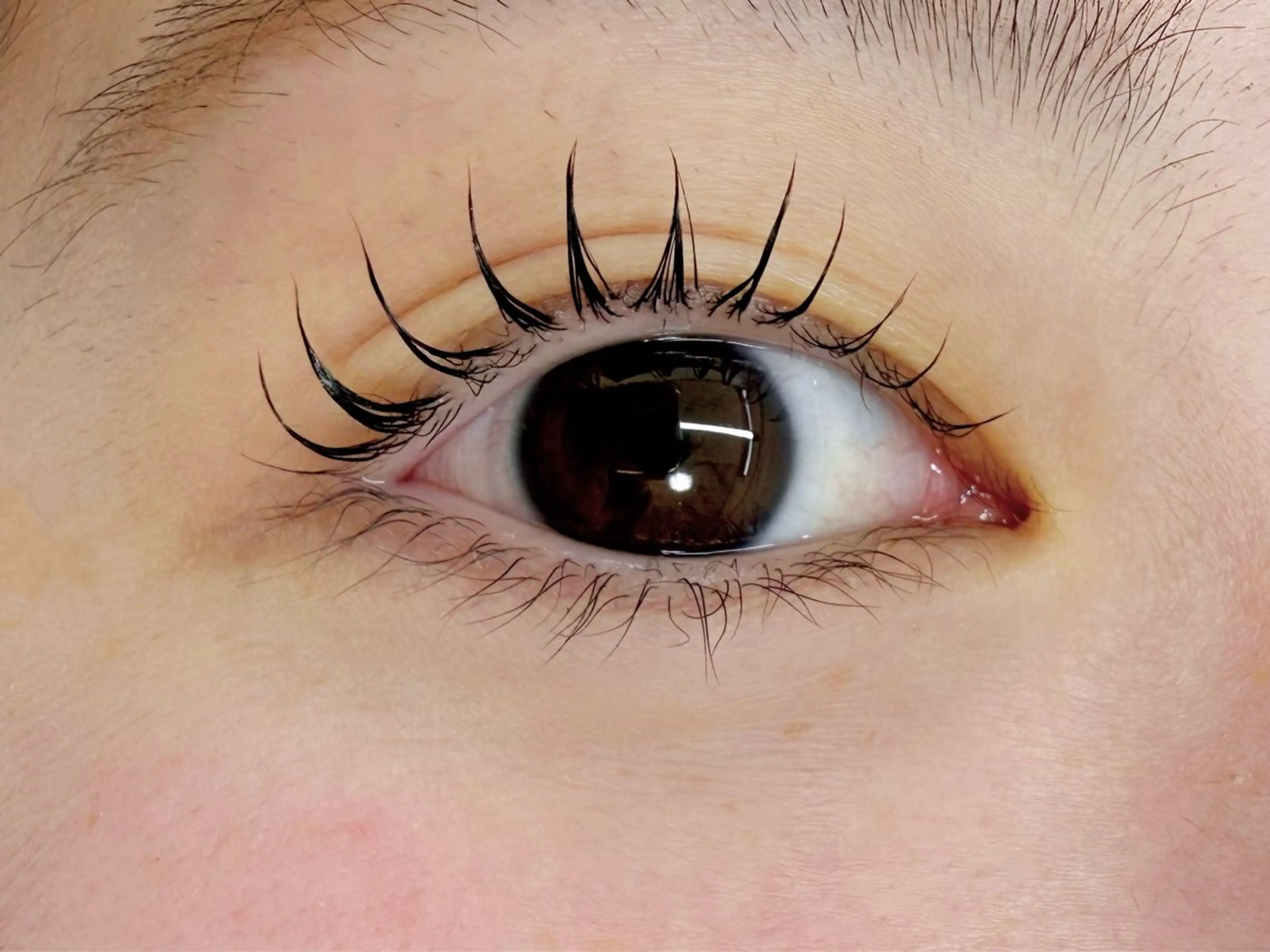 まつげパーマ(𖠶ᴗ𖠶)の写真