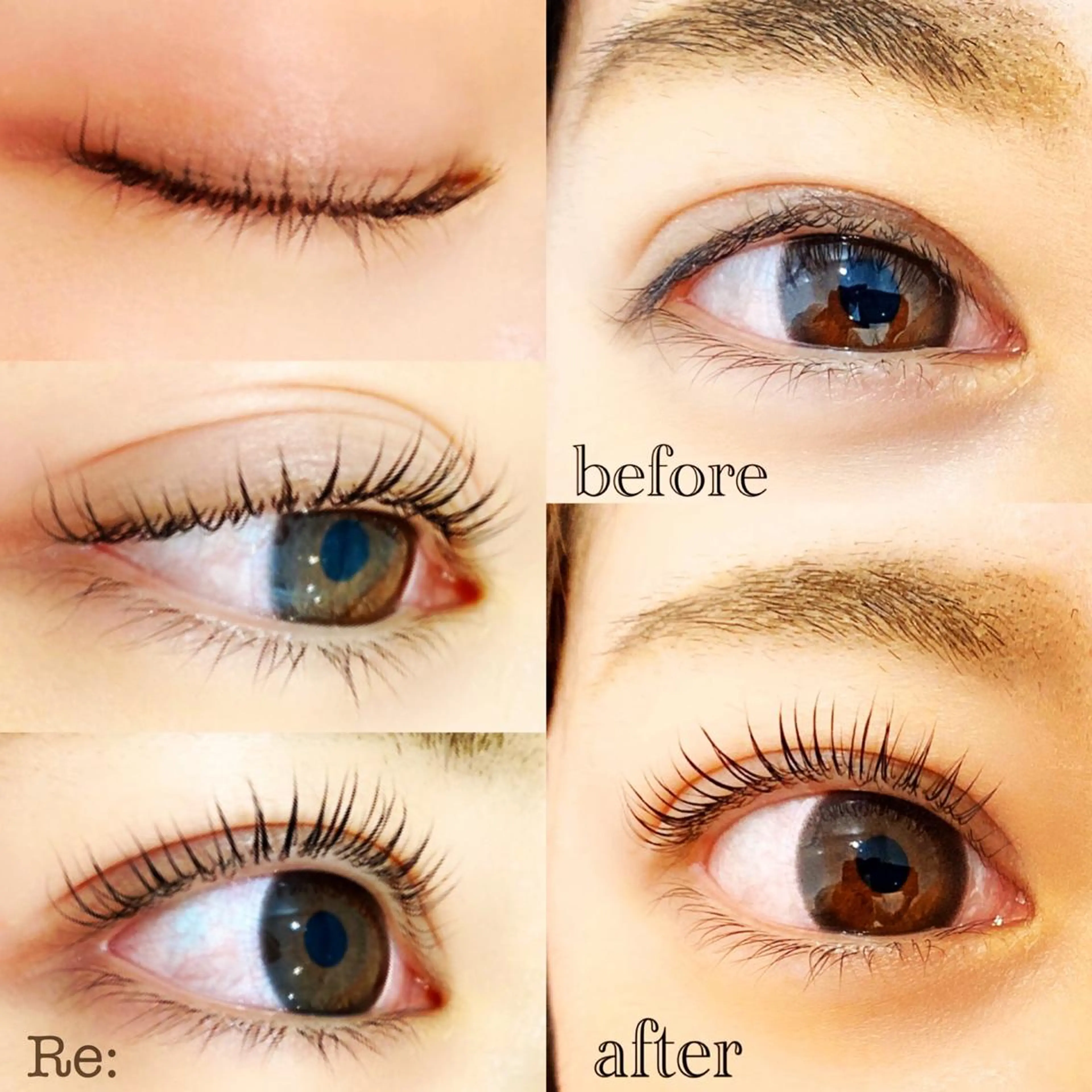 マツエク・マツパ 目尻長め ナチュラル 一重×まつ毛パーマ マツパ Lash Re：のマツエク・マツパデザイン