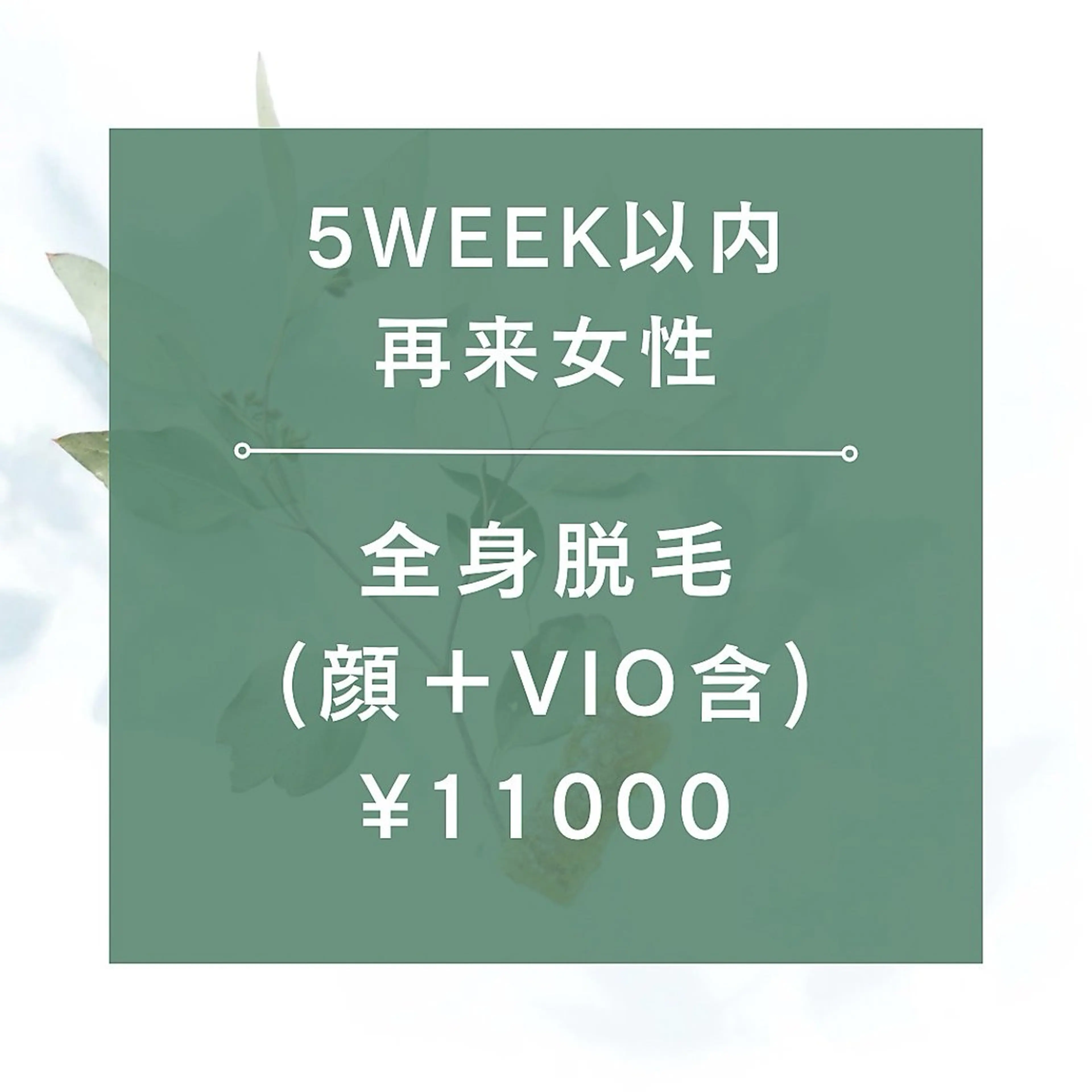 【１ヶ月以内再来女性】★☆全身脱毛（全顔＋VIO含）¥11000★105分の写真