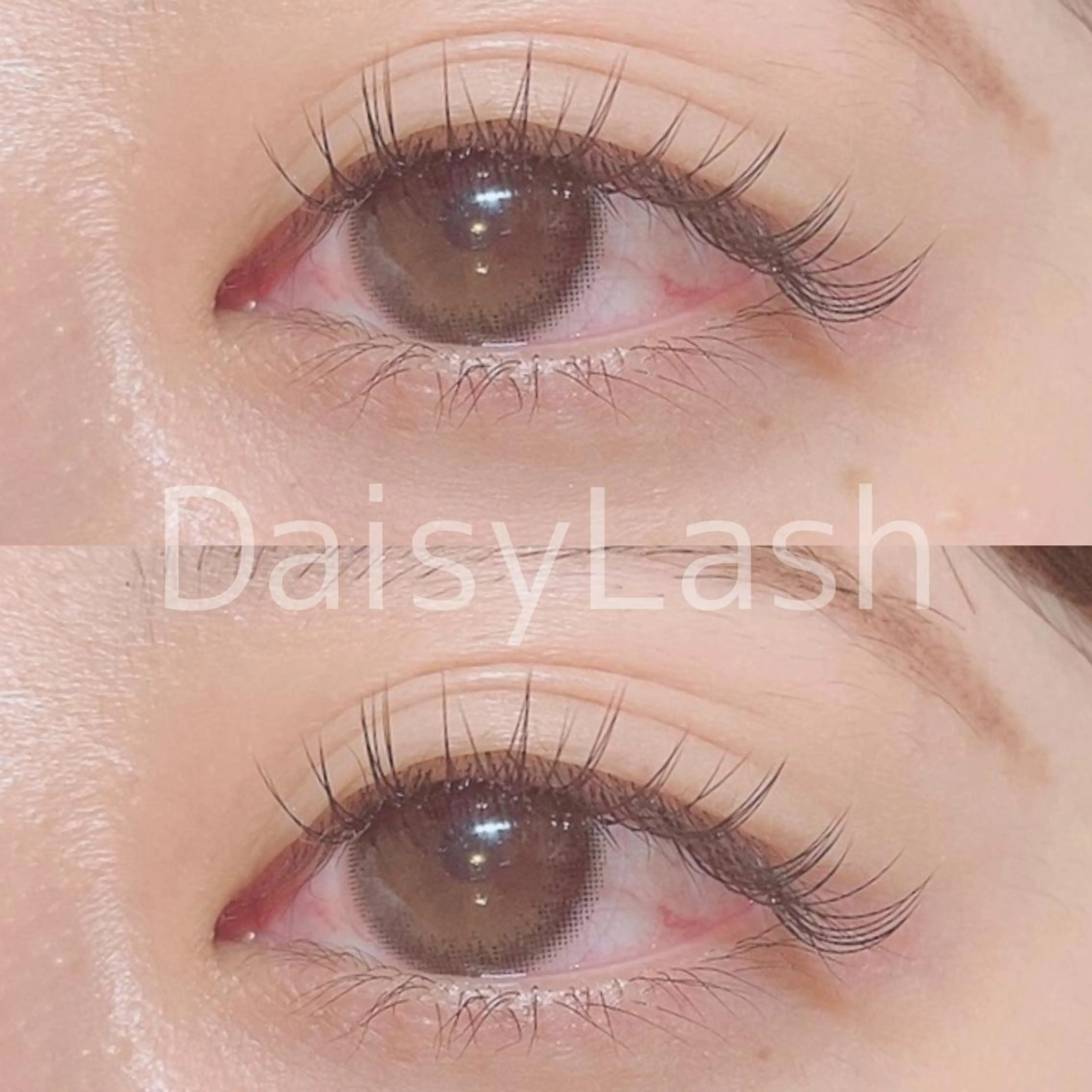 マツエク・マツパ DaisyLash 京橋店のマツエク・マツパデザイン