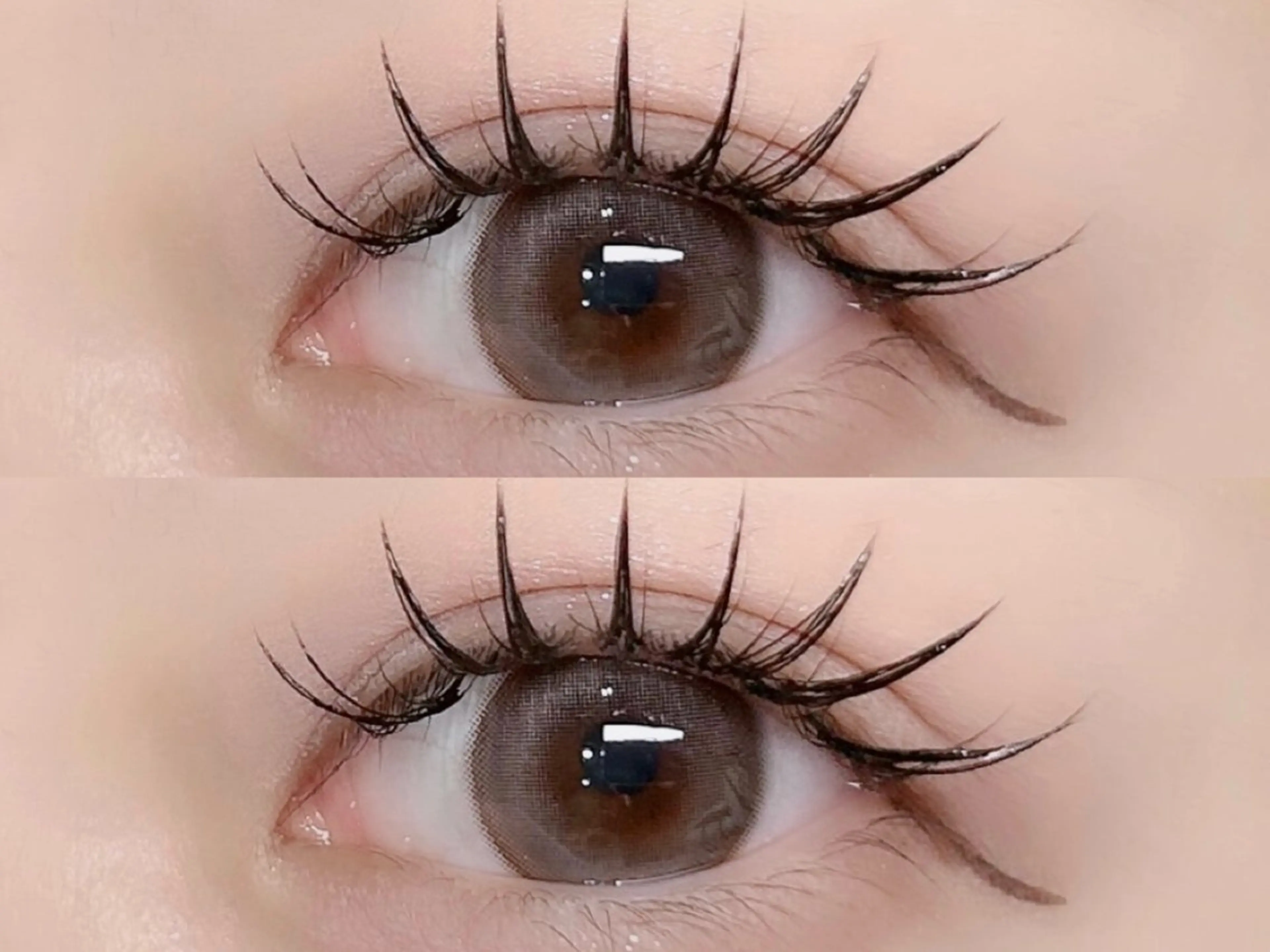 圧倒的持続力❤️🔥ダブルフラットラッシュ40束(シングルラッシュ80本程度)コーティング付き✨の写真