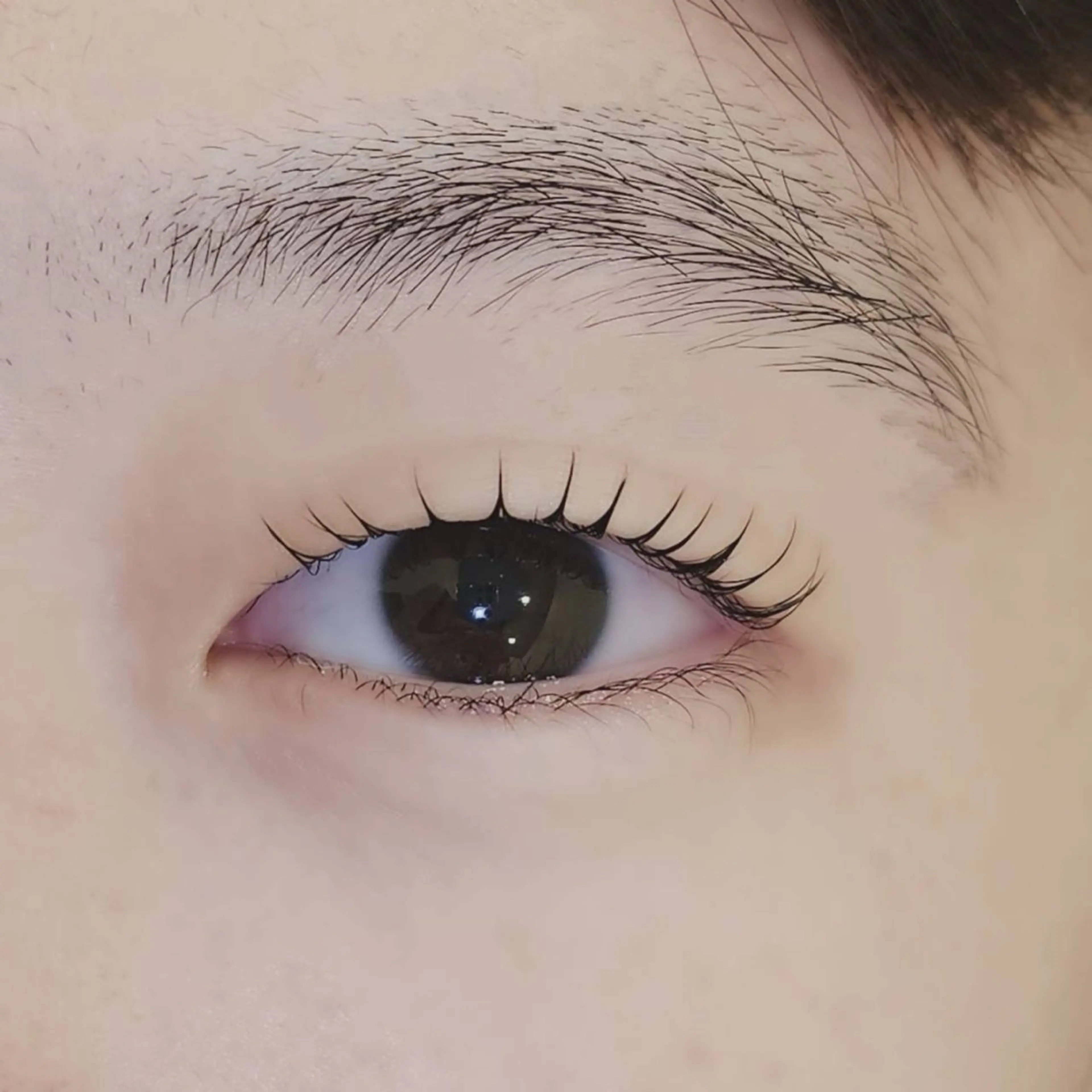 マツエク・マツパ 一重×まつ毛パーマ GALLARIA MIKOのマツエク・マツパデザイン