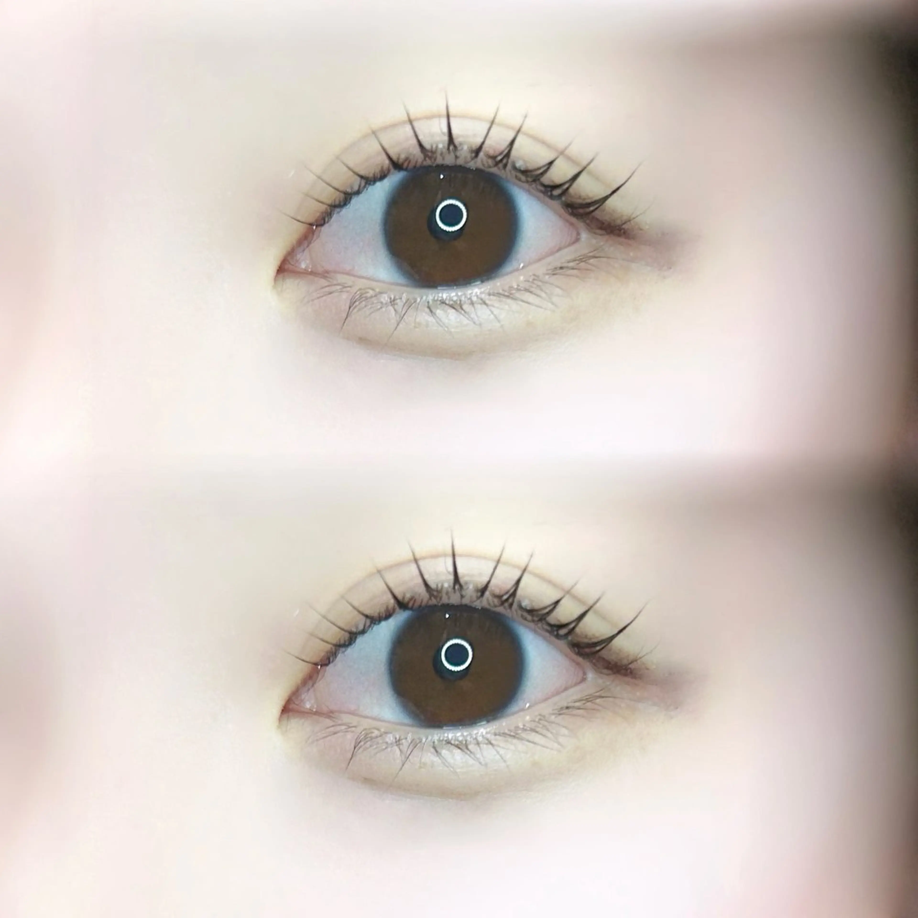 マツエク・マツパ 🍀fein. sakura🍀の眉毛・アイブロウイメージ