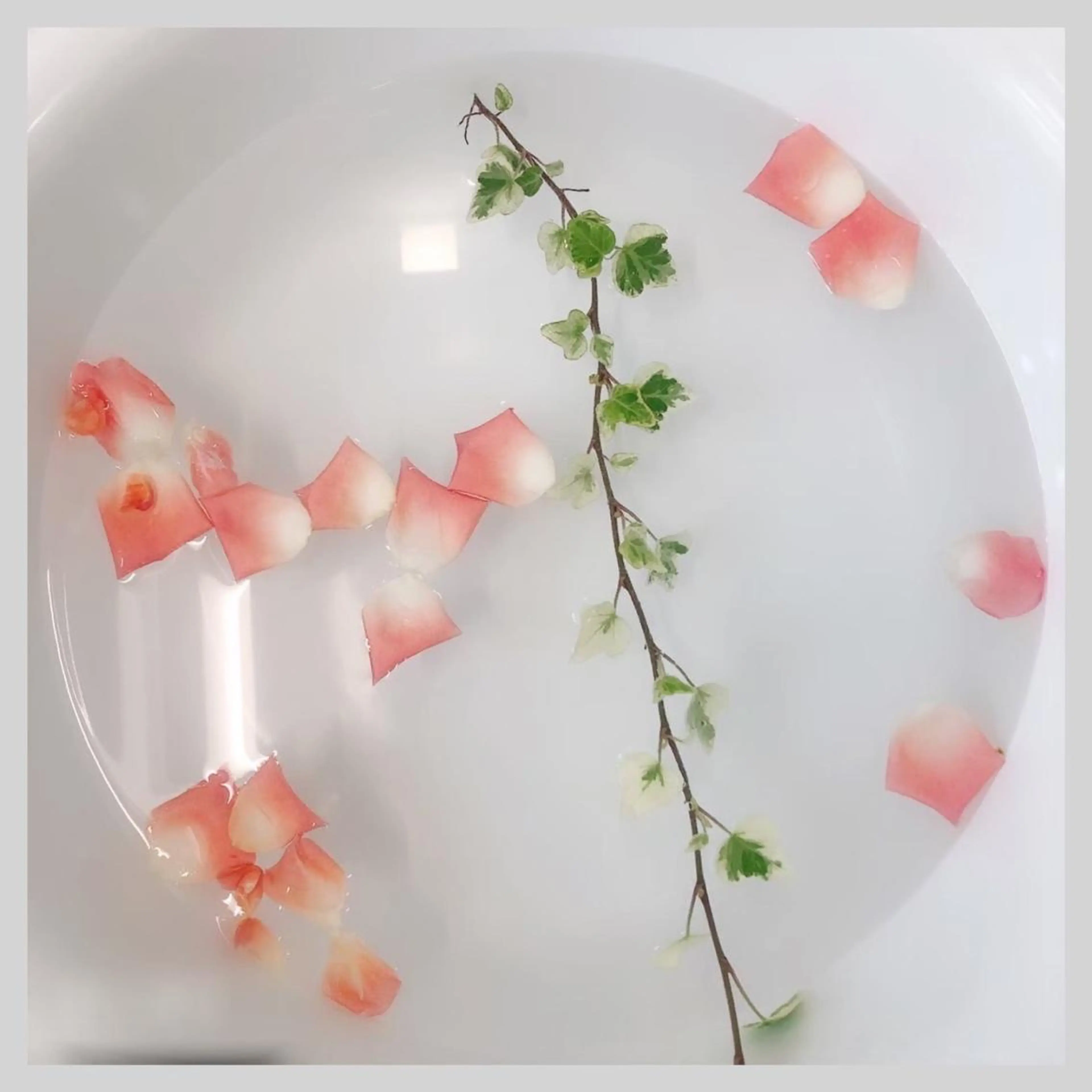 ポーラザビューティららぽーと立川立飛所属・ポーラザビューティ ららぽーと立川立飛のその他イメージ