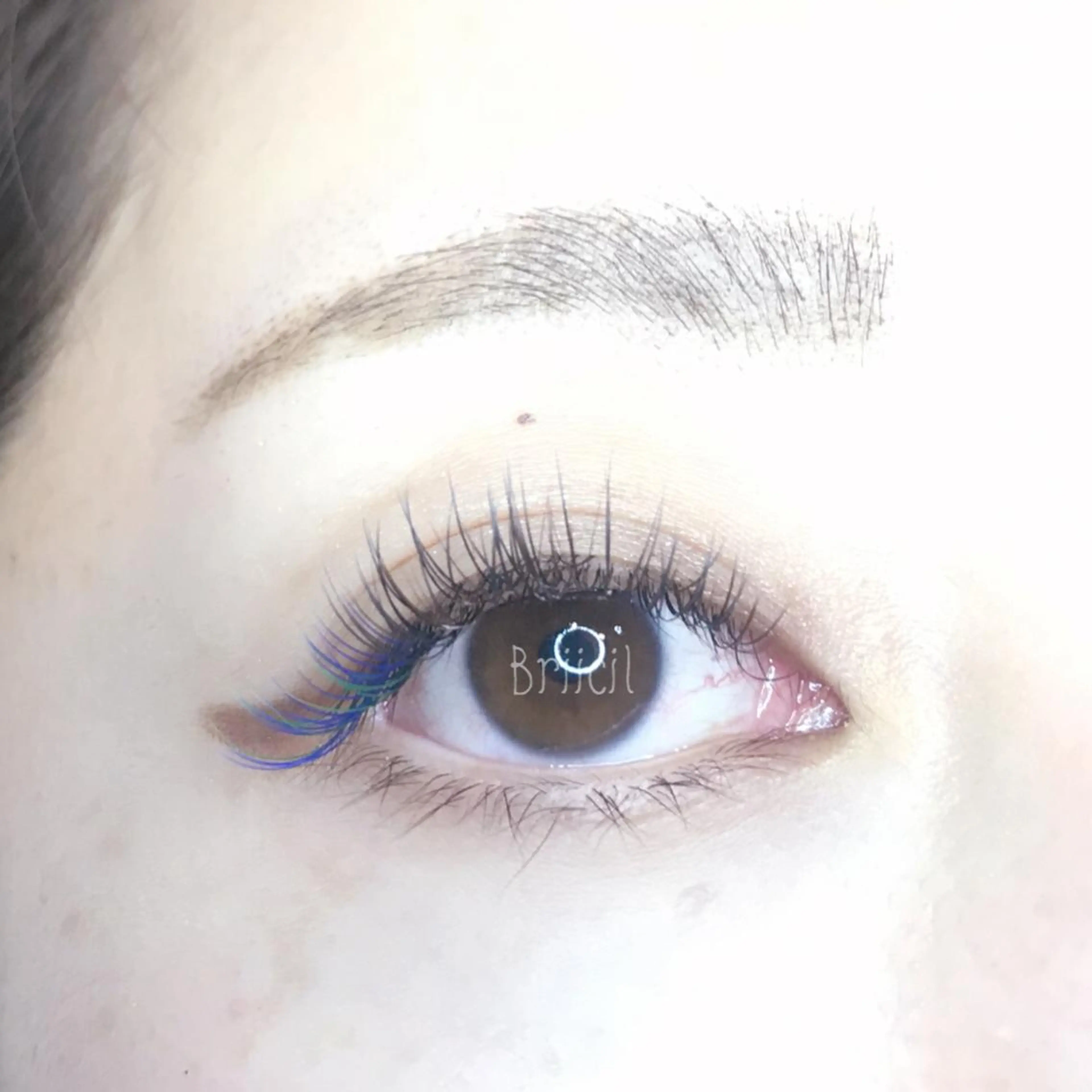 マツエク・マツパ Briicil -the  home-所属・Briicil ブリーシルのマツエク・マツパデザイン