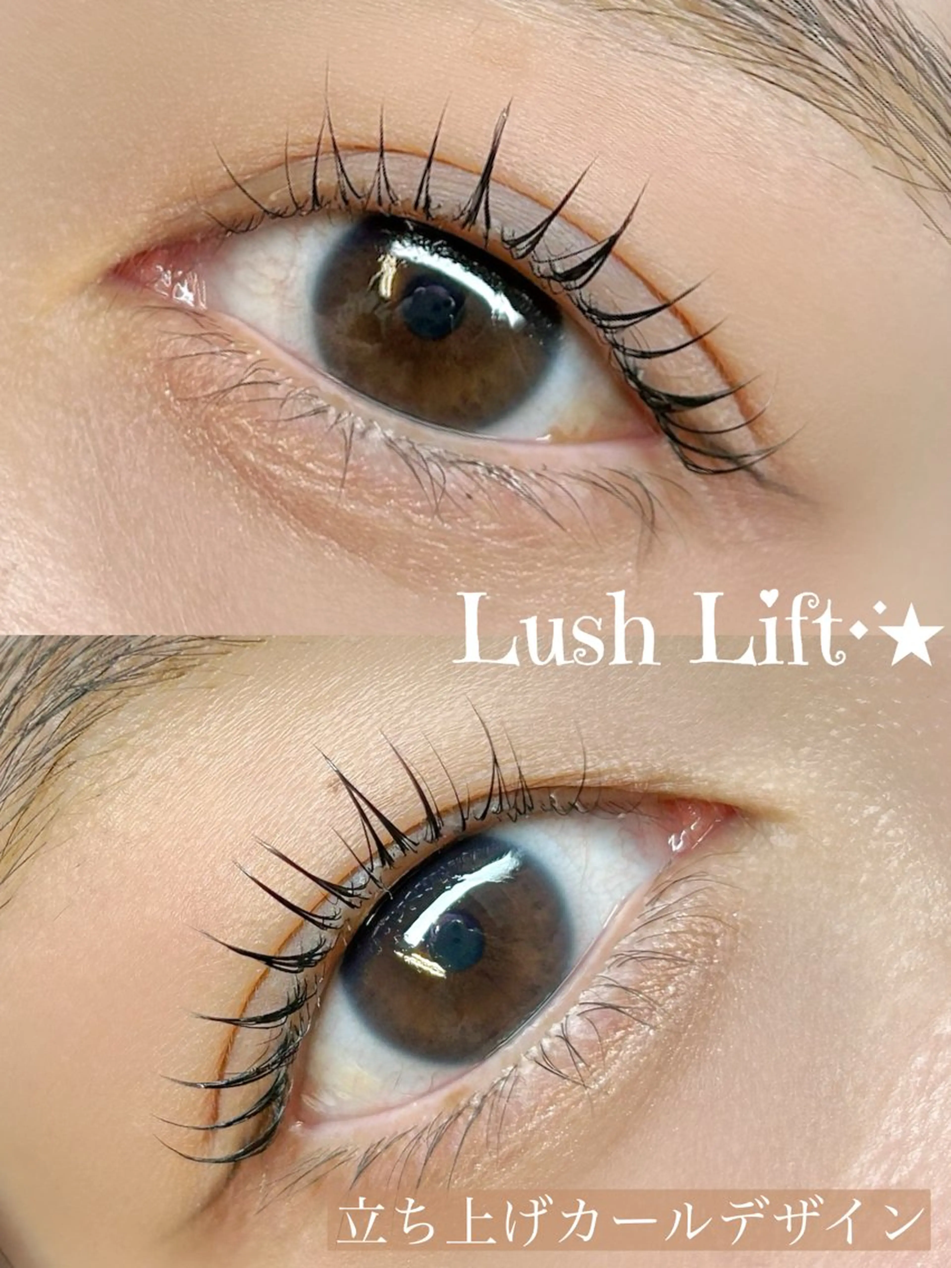 【新規】まつげパーマ💫+美容液コーティング付の写真