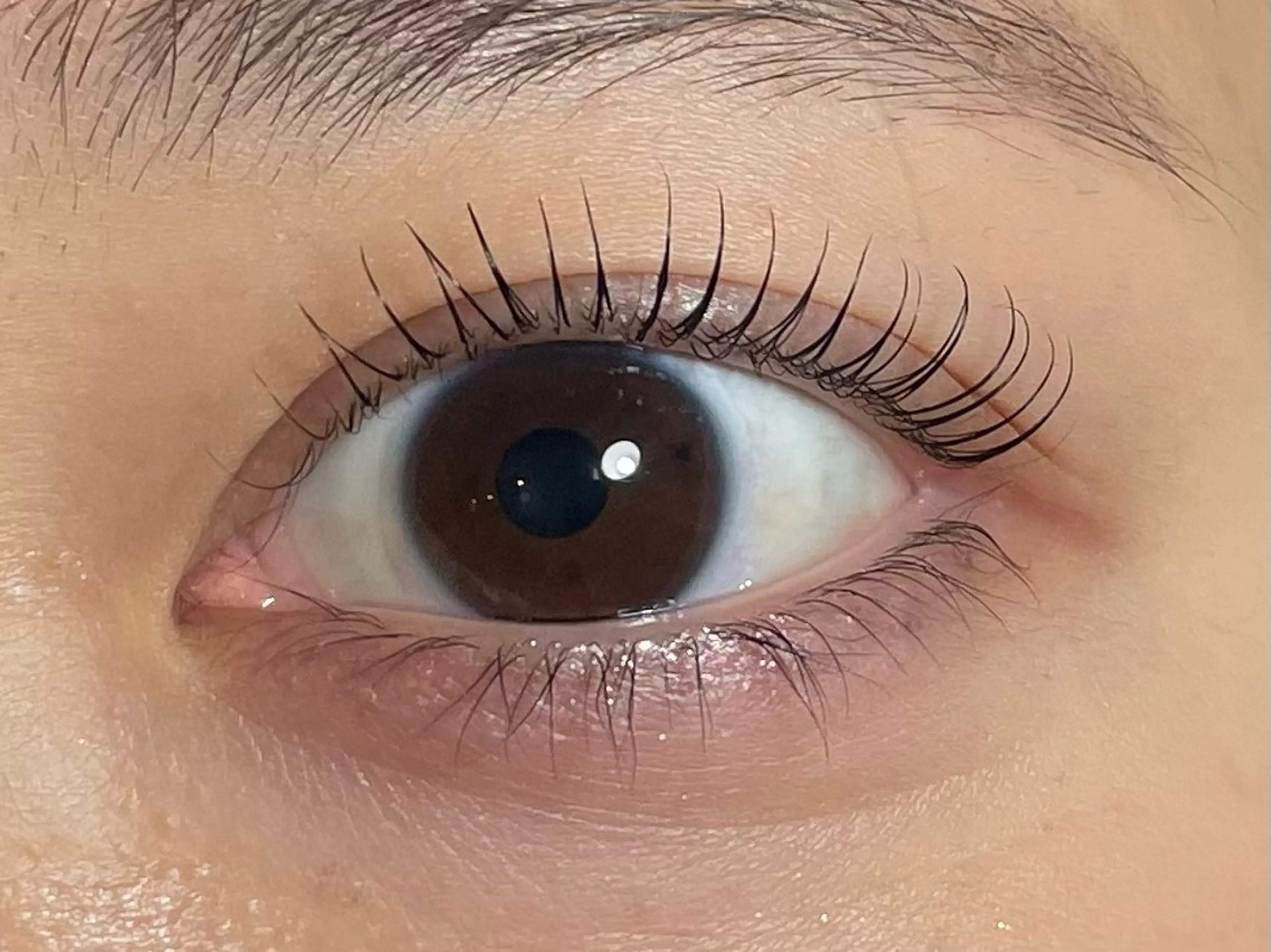 マツエク・マツパ マツパ Sol フジイのマツエク・マツパデザイン