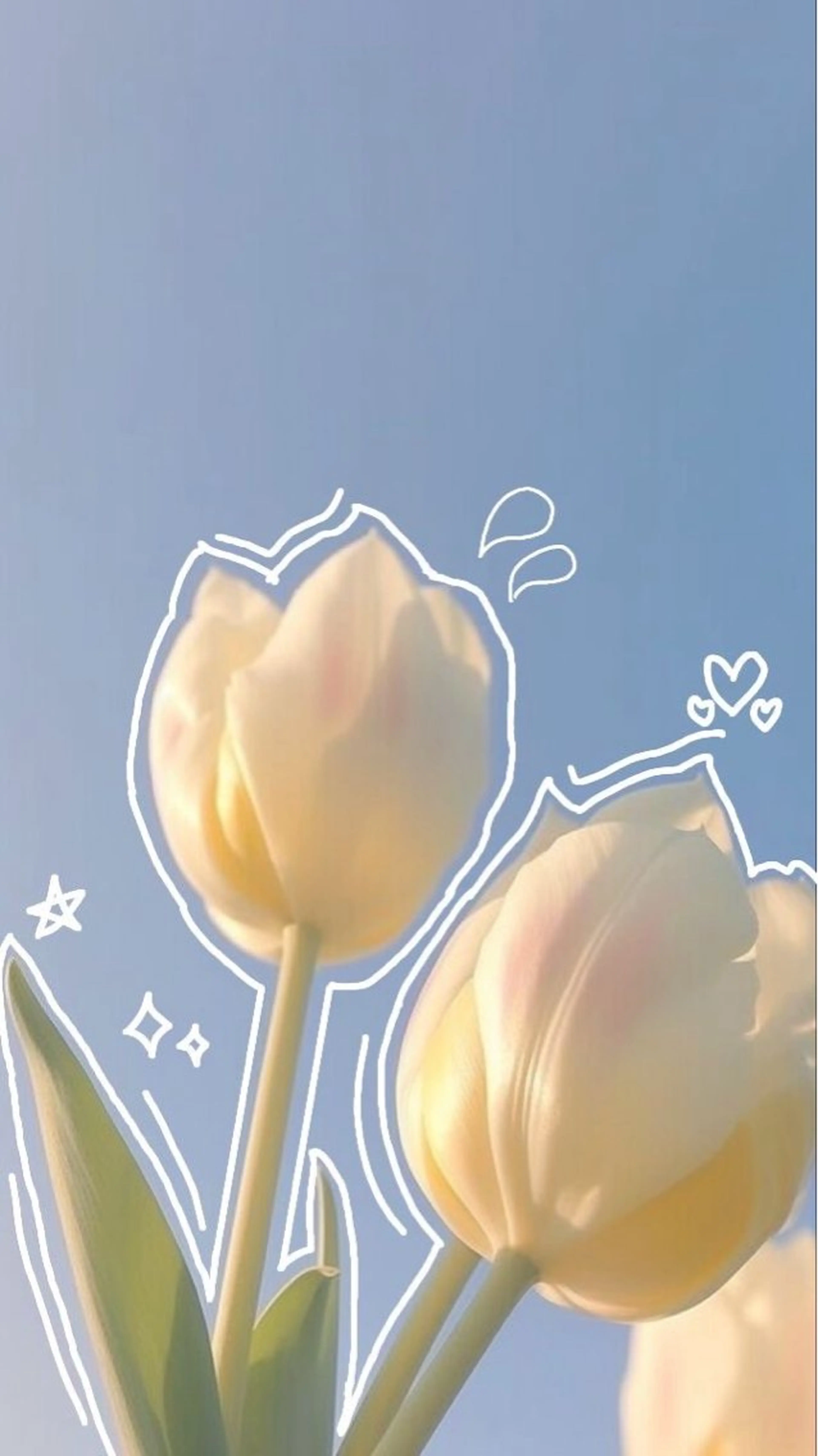 Frames 大宮 かんだのマツエク・マツパデザイン